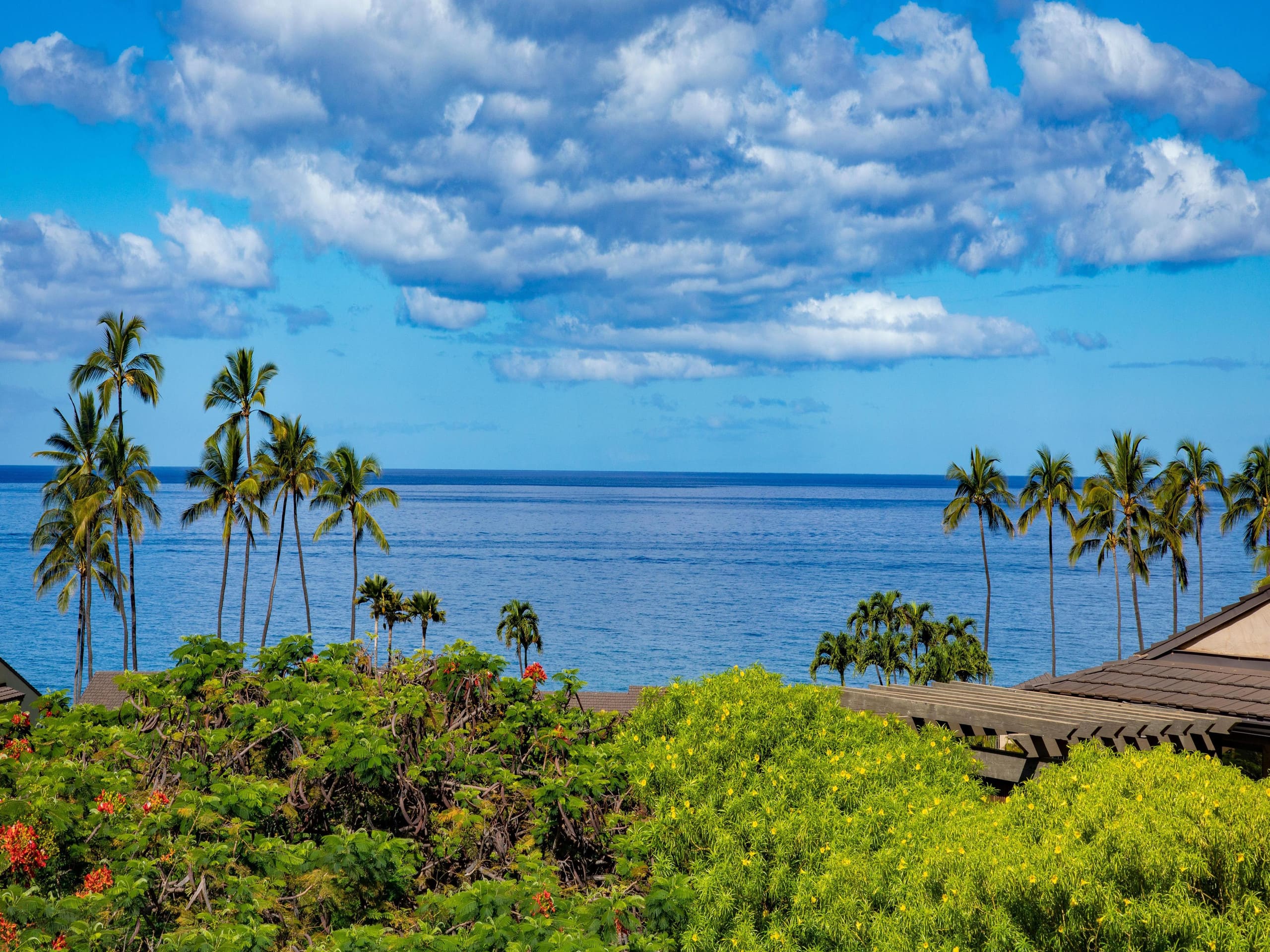 Condo in Wailea · ★5.0 · 2 bedrooms · 4 beds · 2 baths - Photo 20