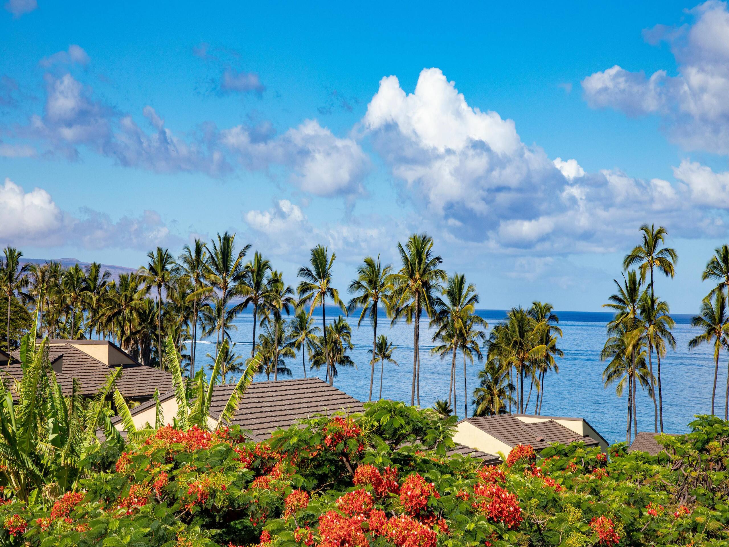 Condo in Wailea · ★5.0 · 2 bedrooms · 4 beds · 2 baths - Photo 21