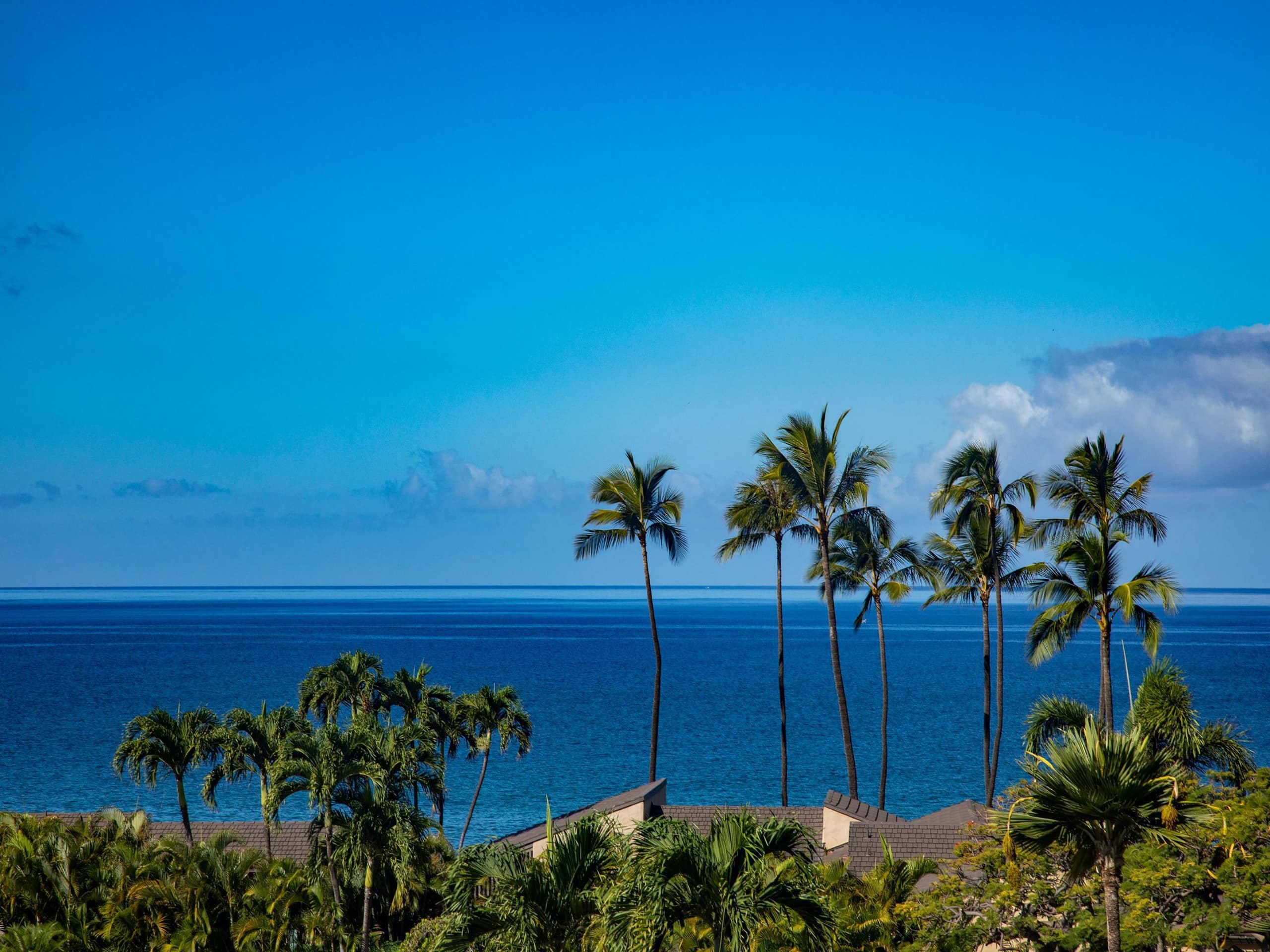 Condo in Wailea · ★5.0 · 3 bedrooms · 5 beds · 2 baths - Image 11