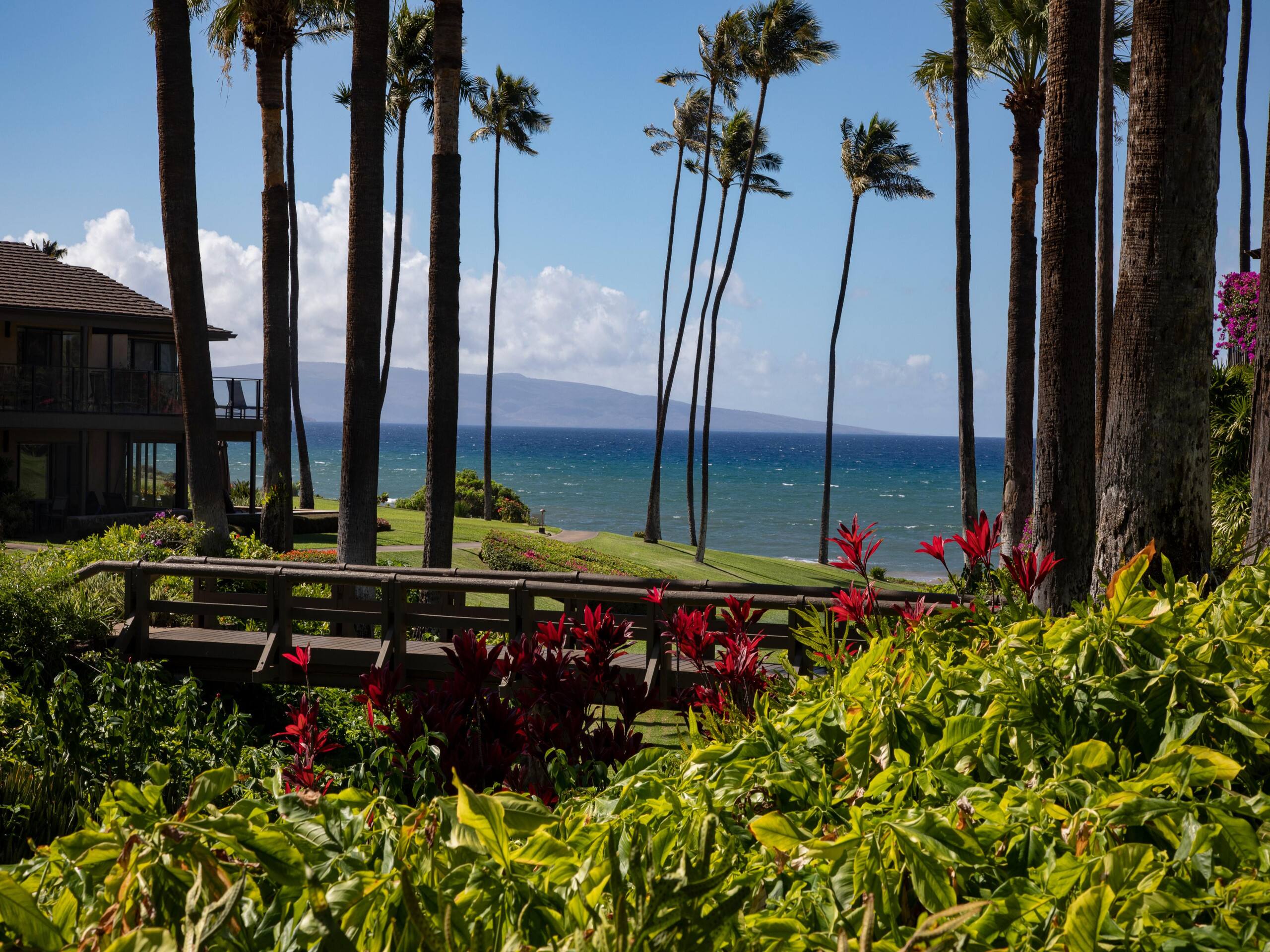 Condo in Wailea · ★4.8 · 3 bedrooms · 5 beds · 2 baths - Image 18