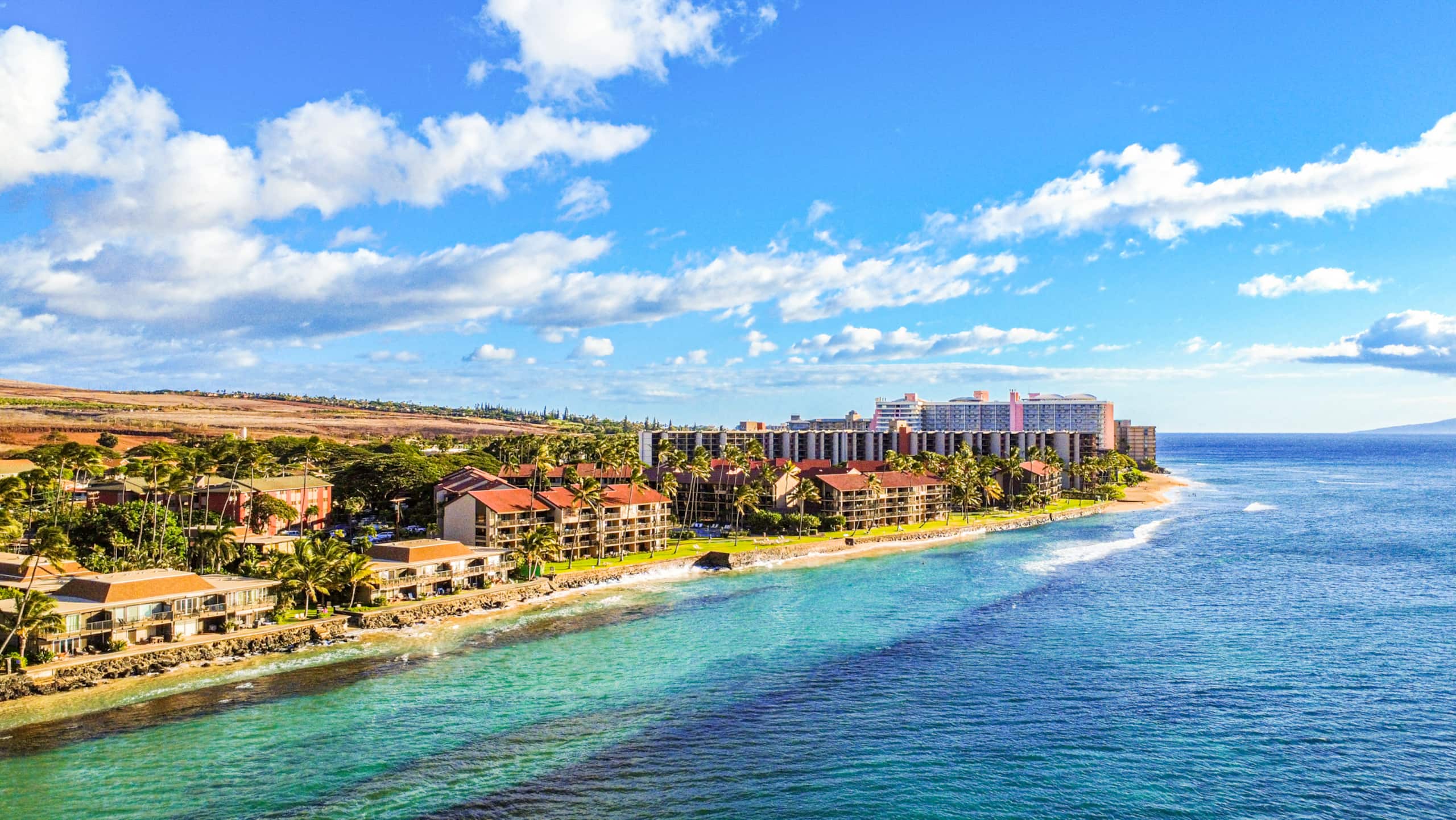 Condo in Lahaina · ★4.83 · 2 bedrooms · 4 beds · 2 baths - Image 27