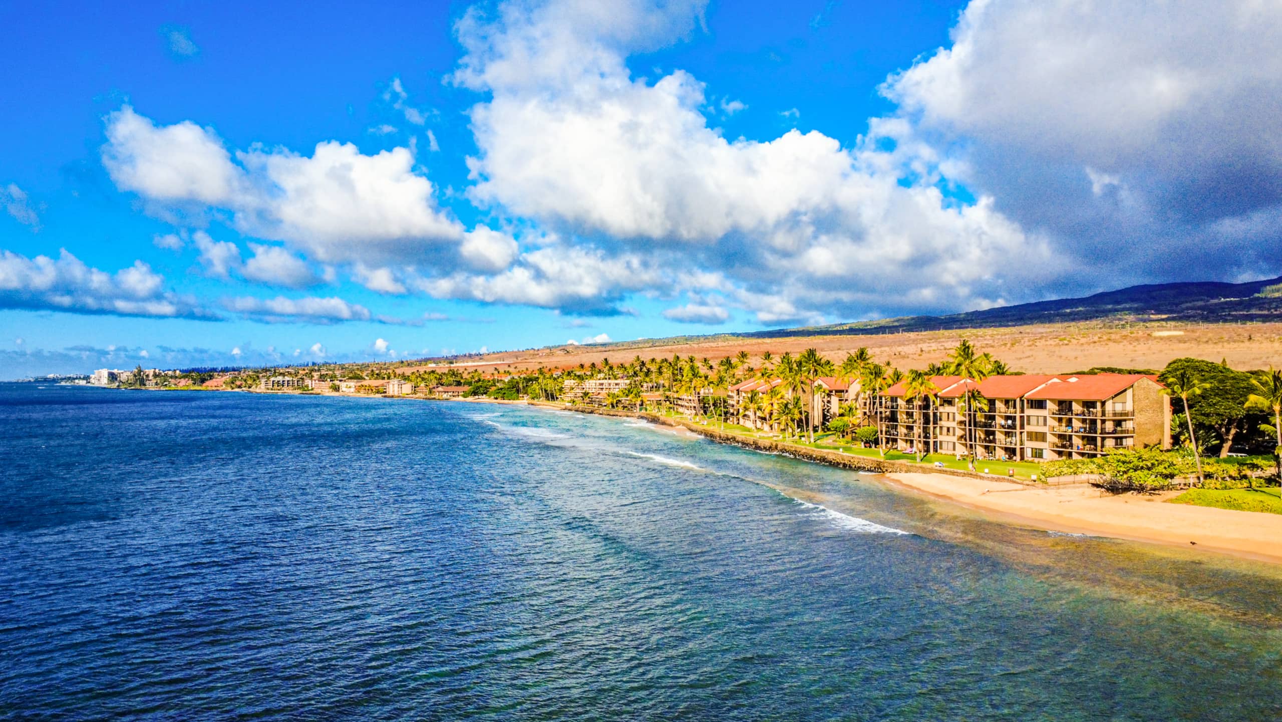 Condo in Lahaina · ★4.83 · 2 bedrooms · 4 beds · 2 baths - Image 25
