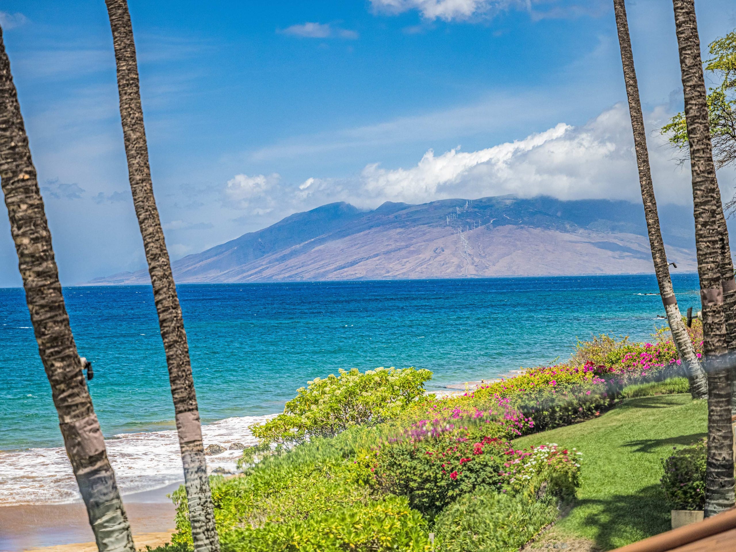 Condo in Kihei · ★5.0 · 2 bedrooms · 4 beds · 2 baths - Image 5