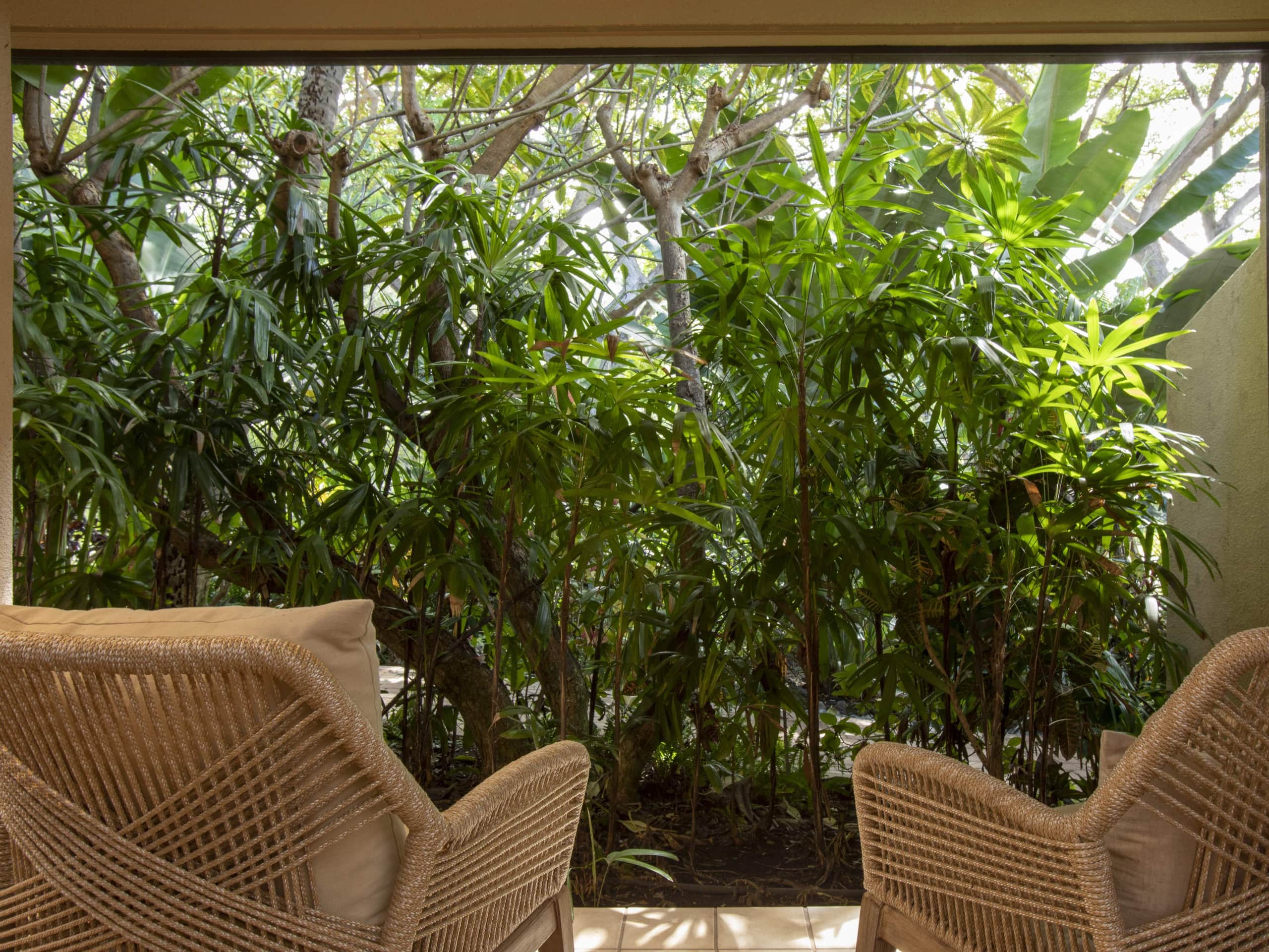 Condo in Kihei · ★5.0 · 2 bedrooms · 3 beds · 2 baths - Image 9