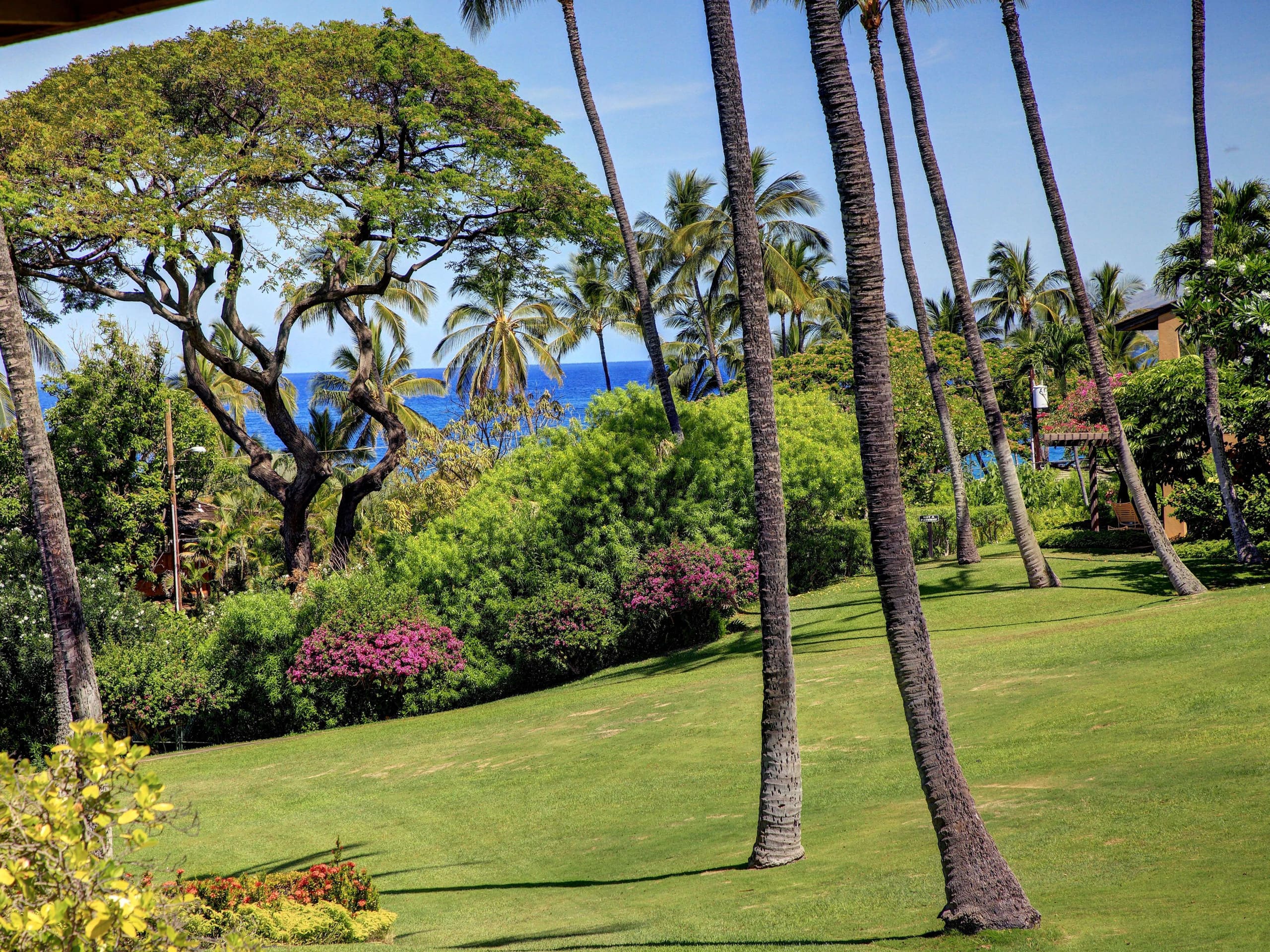 Condo in Kihei · ★4.75 · 1 bedroom · 2 beds · 1 bath - Image 1