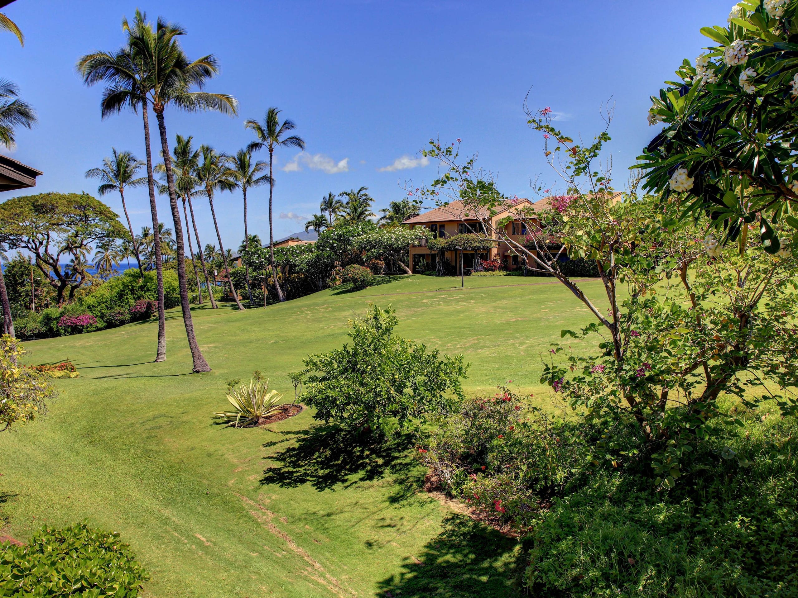 Condo in Kihei · ★4.75 · 1 bedroom · 2 beds · 1 bath - Image 23