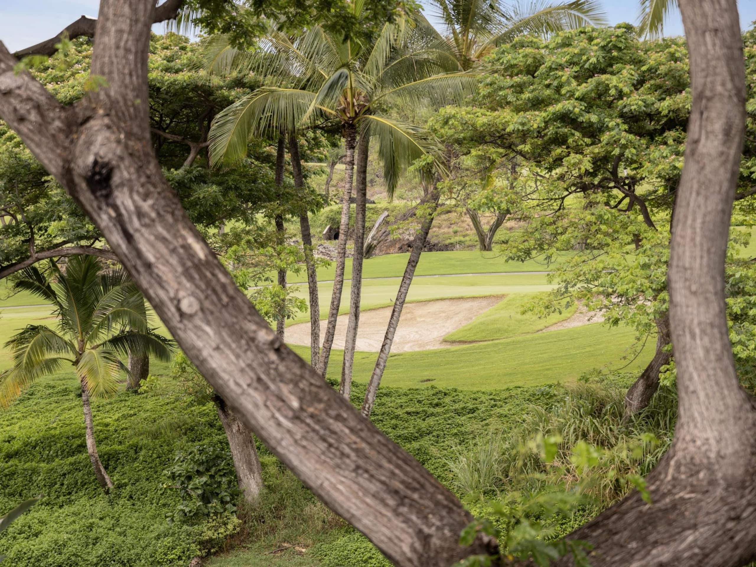 Condo in Kihei · ★5.0 · 2 bedrooms · 4 beds · 2 baths - Image 7