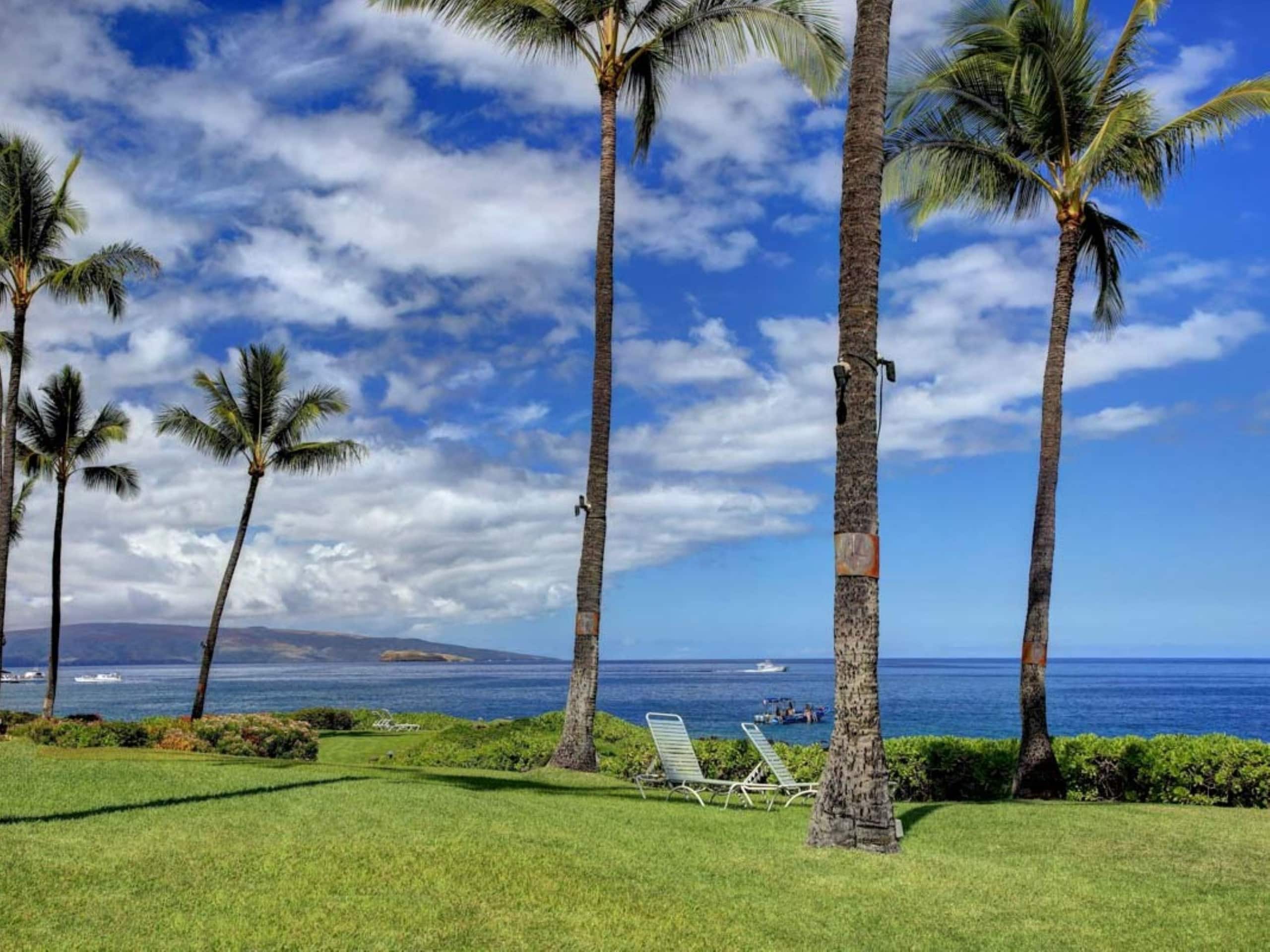 Condo in Kihei · ★5.0 · 2 bedrooms · 3 beds · 2 baths - Image 19