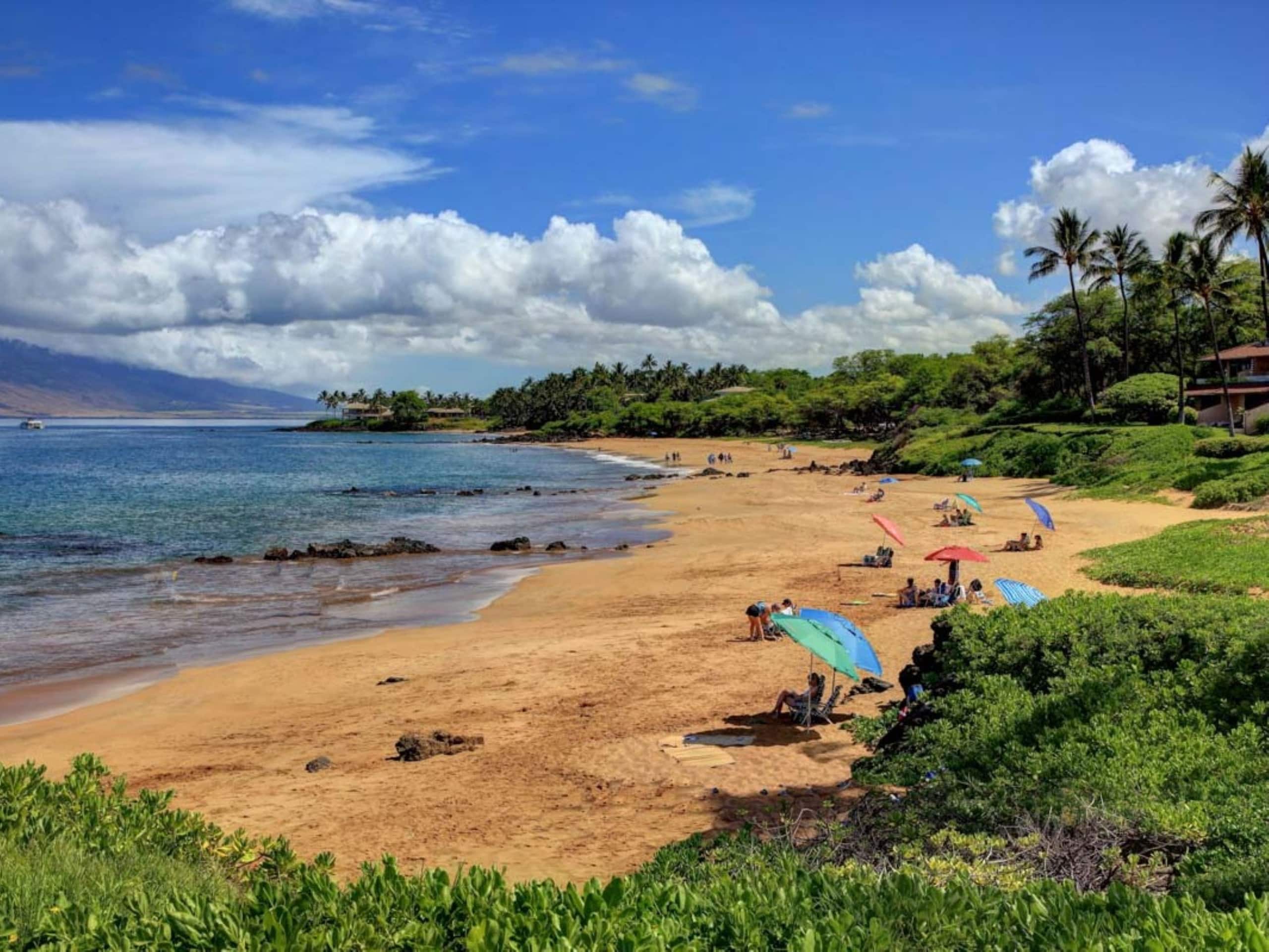 Condo in Kihei · ★5.0 · 2 bedrooms · 3 beds · 2 baths - Image 13