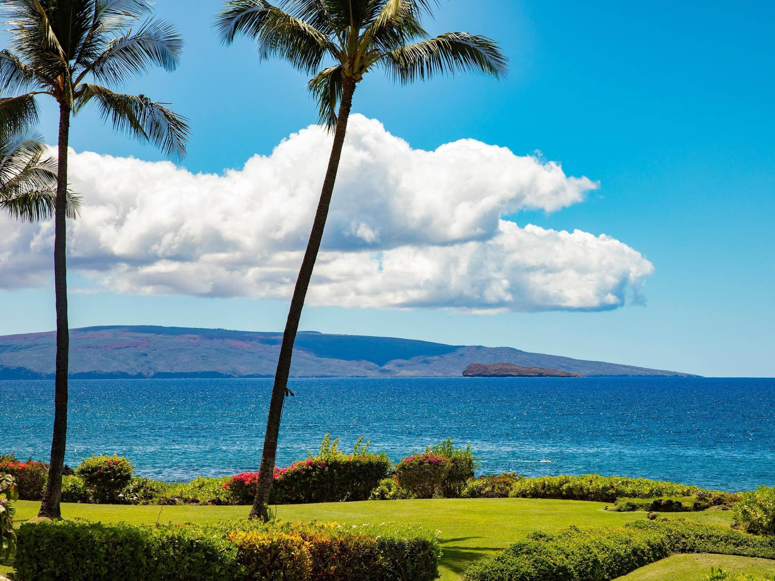 Condo in Kihei · ★5.0 · 2 bedrooms · 3 beds · 2 baths - Image 2