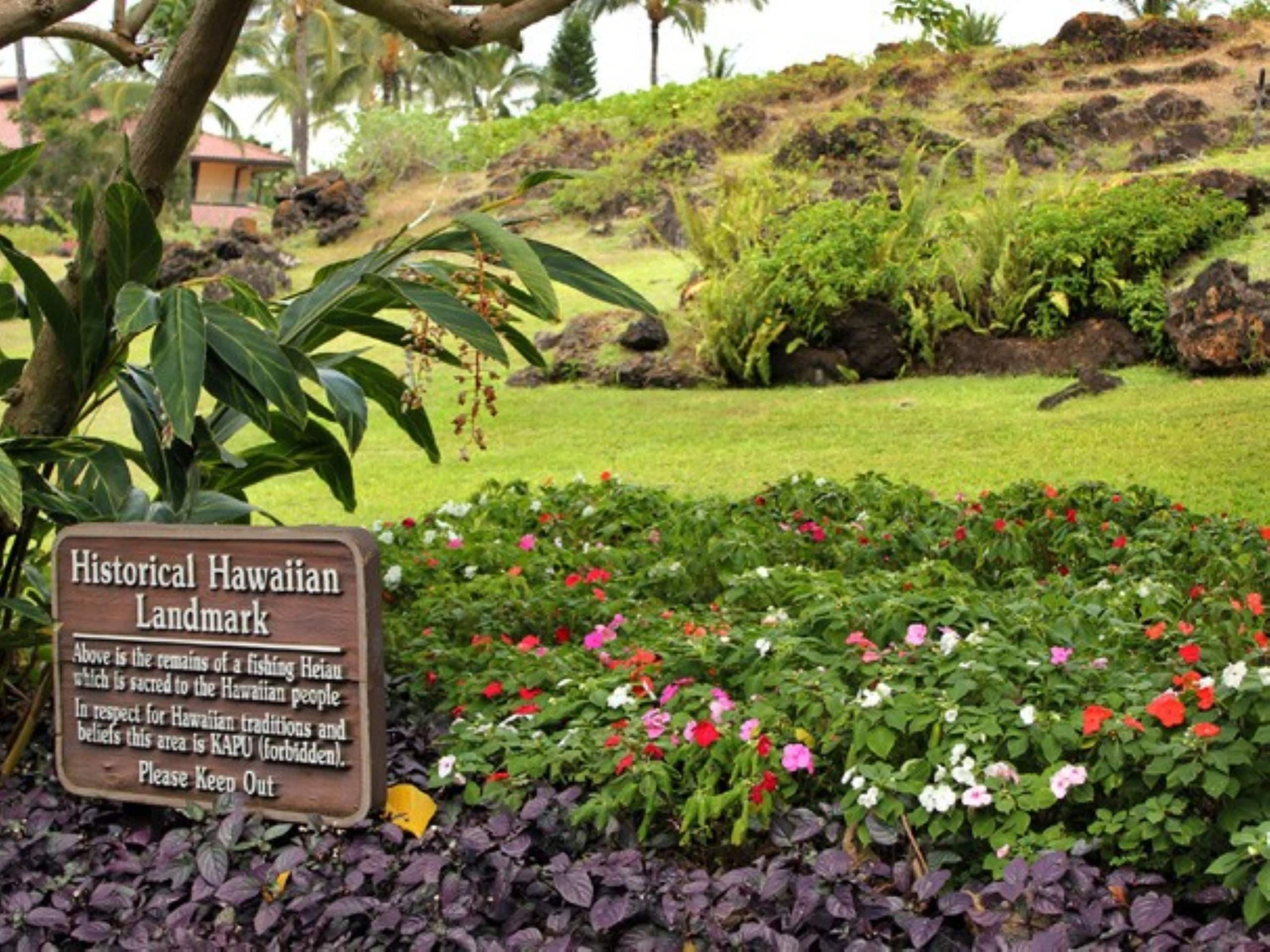 Condo in Kihei · ★5.0 · 3 bedrooms · 4 beds · 2 baths - Image 26