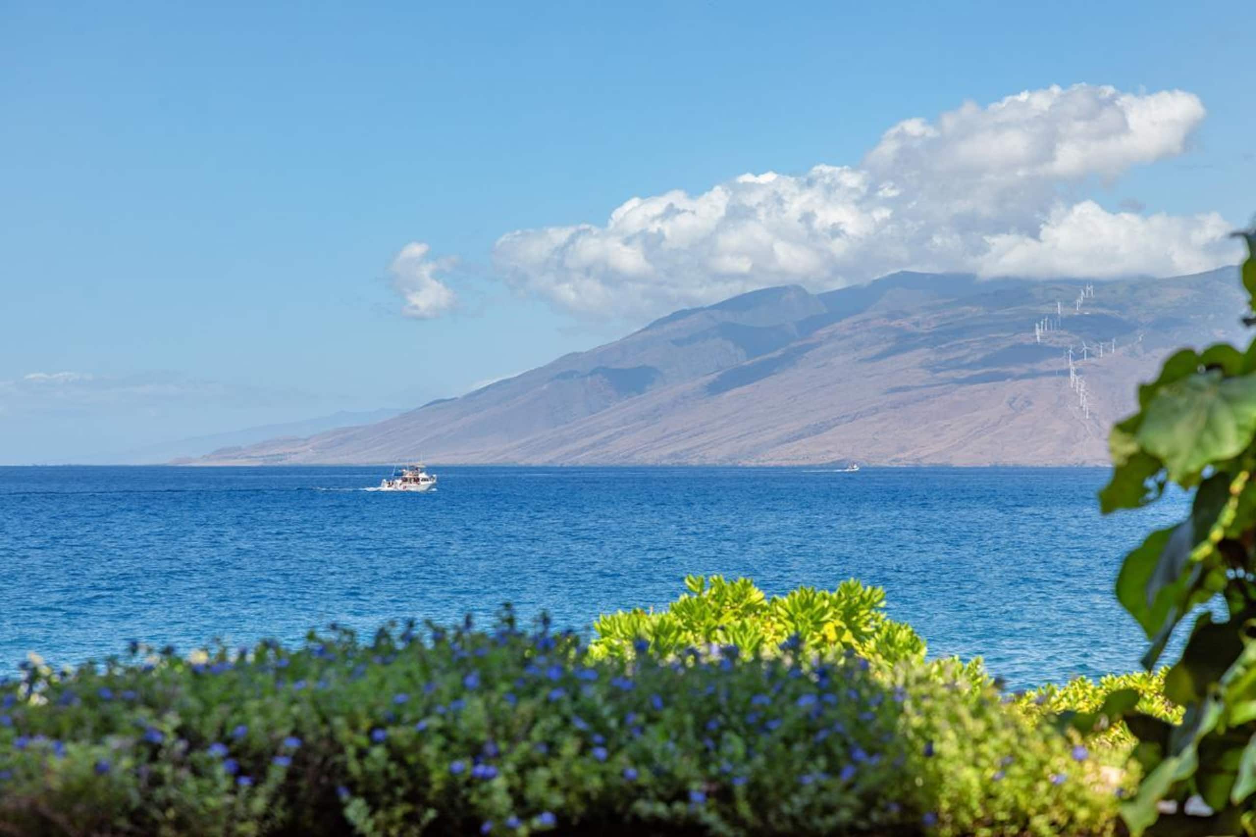 Condo in Kihei · ★5.0 · 3 bedrooms · 4 beds · 2 baths - Image 14