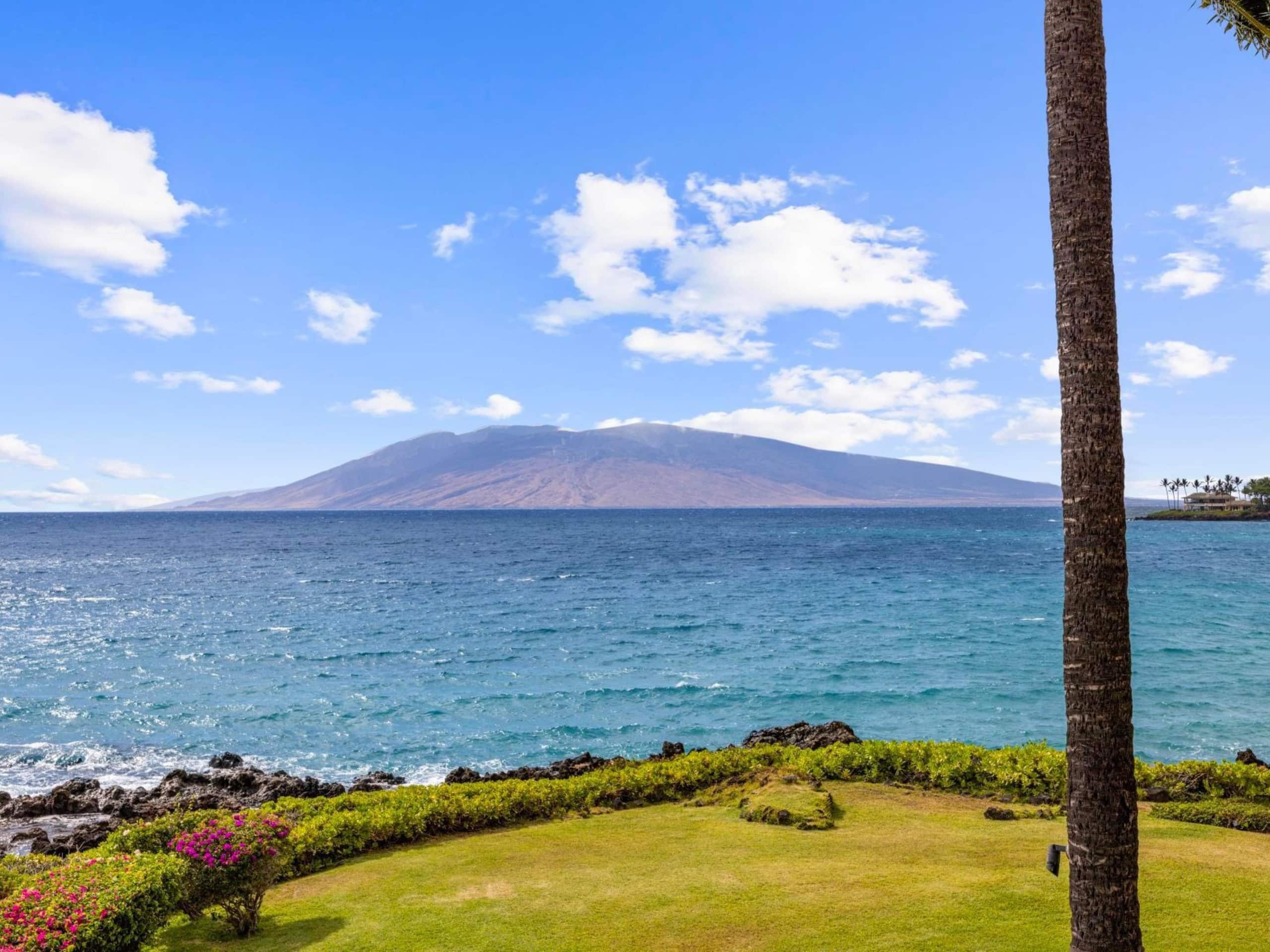 Condo in Kihei · ★5.0 · 2 bedrooms · 4 beds · 2 baths - Image 6