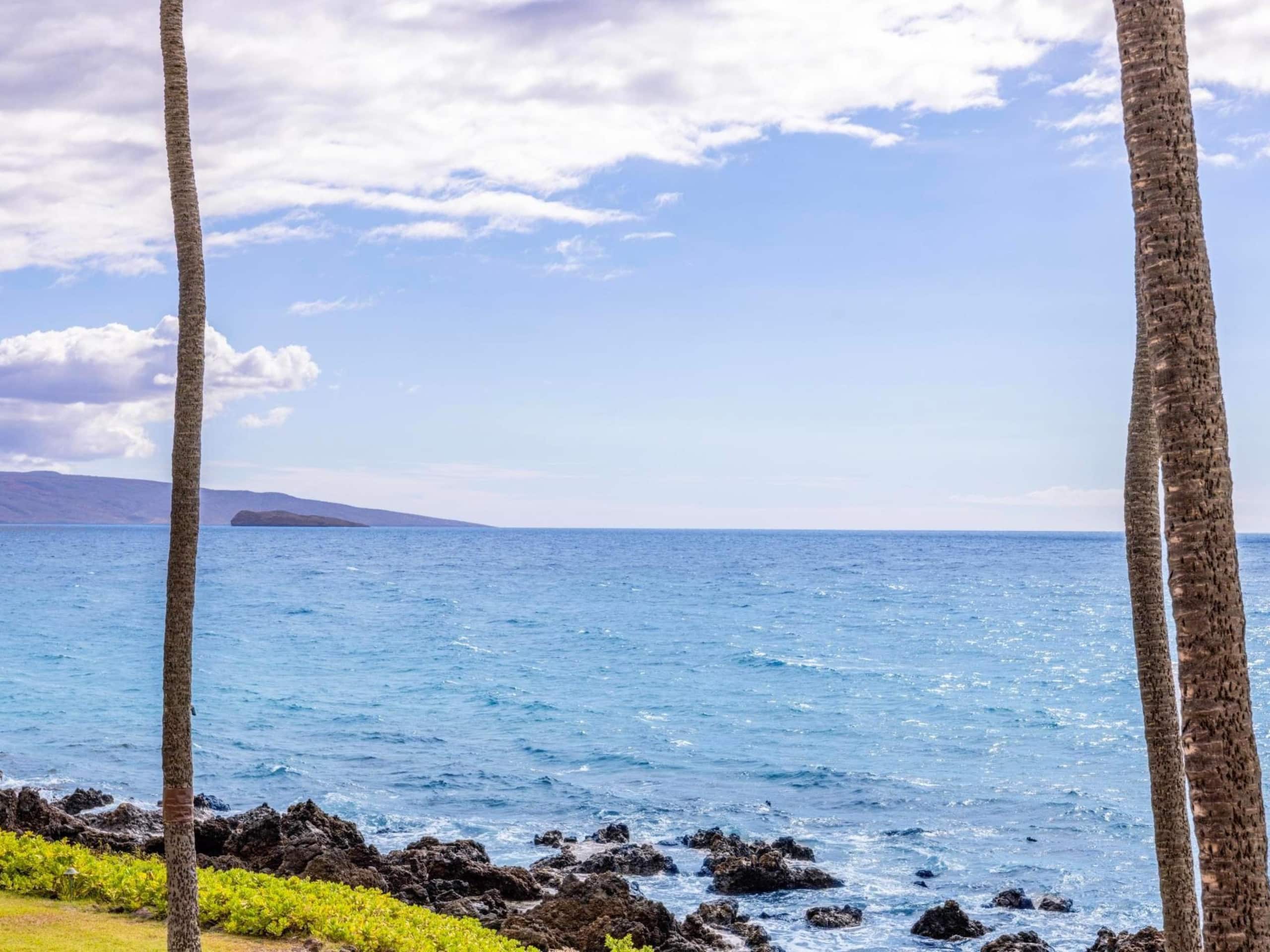 Condo in Kihei · ★5.0 · 2 bedrooms · 4 beds · 2 baths - Image 14