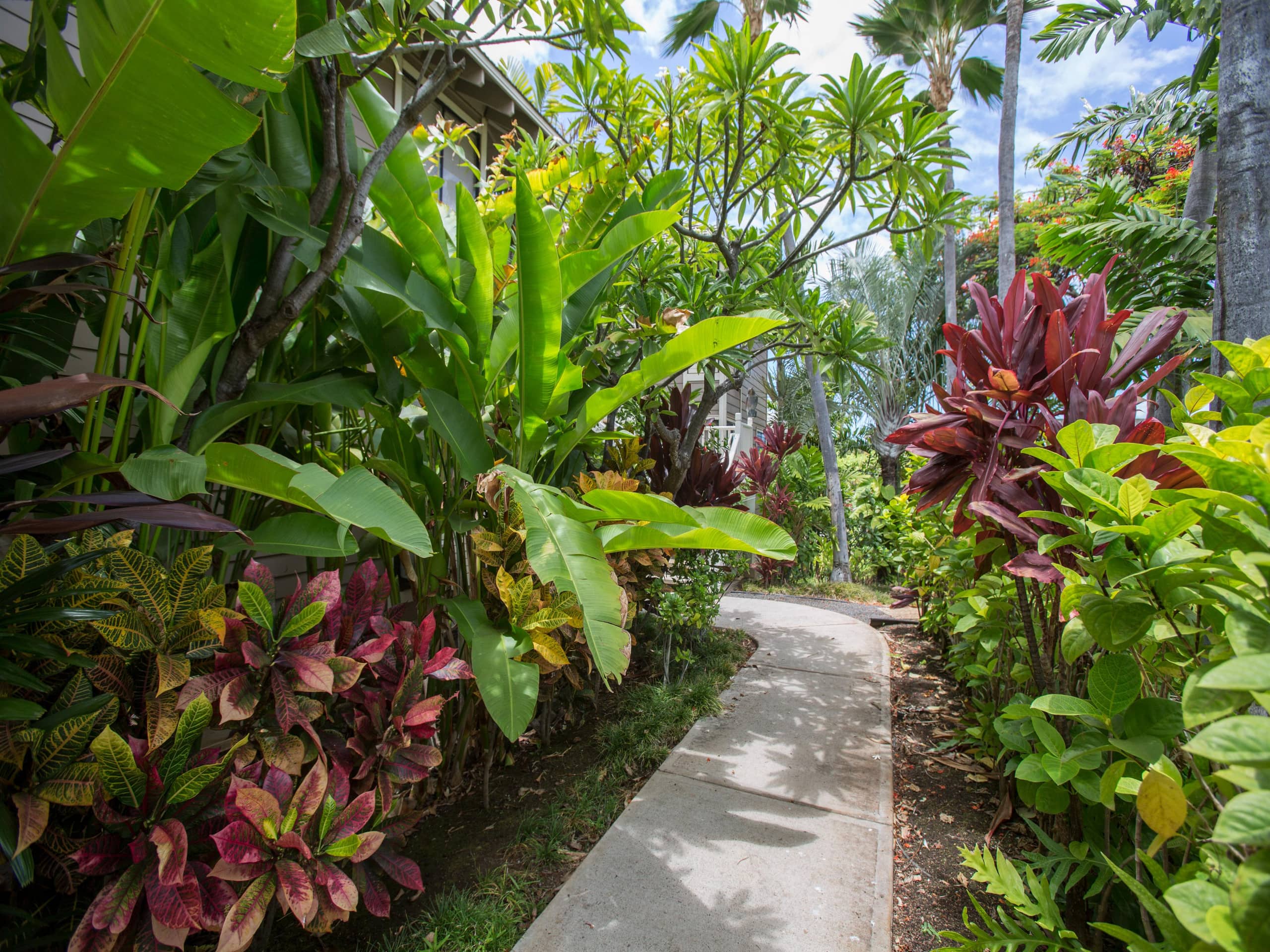 Condo in Kihei · ★4.5 · 2 bedrooms · 4 beds · 2 private baths - Image 14