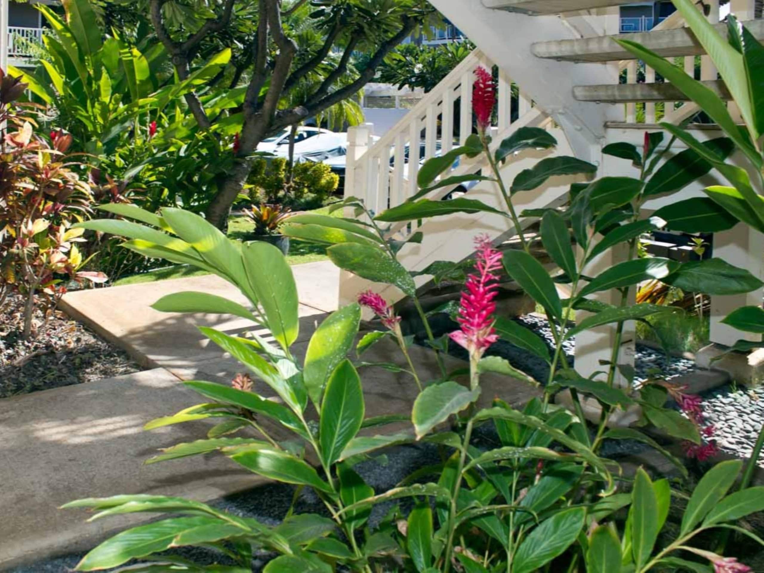 Condo in Kihei · ★5.0 · 1 bedroom · 2 beds · 2 baths - Image 15