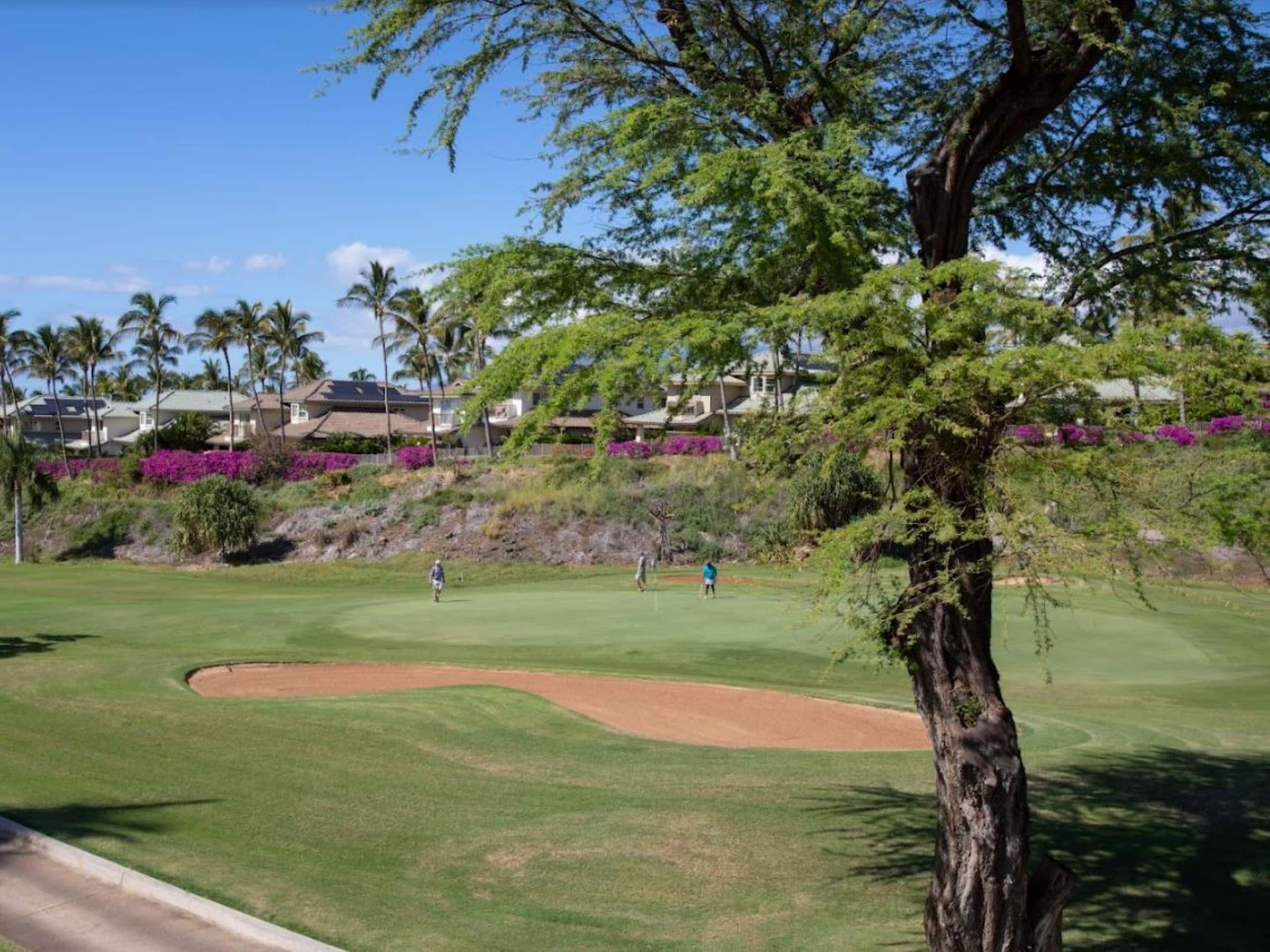 Condo in Kihei · ★4.86 · 3 bedrooms · 5 beds · 2 baths - Image 19