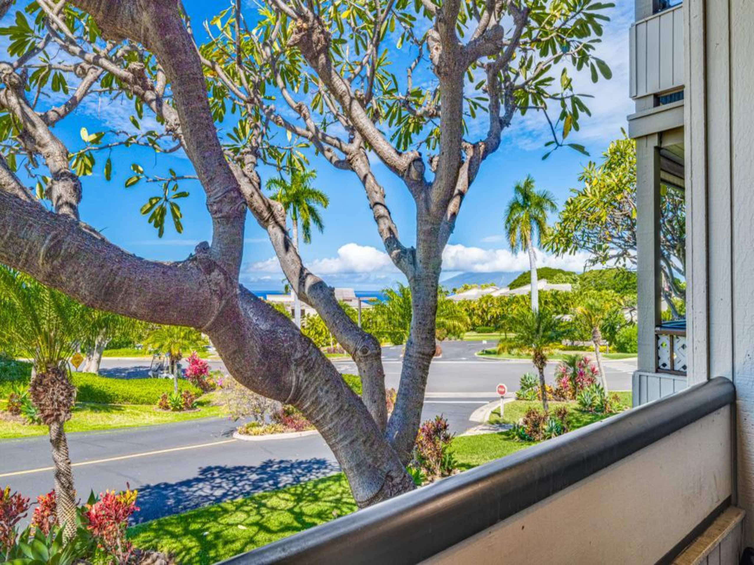 Condo in Kihei · ★4.93 · 2 bedrooms · 3 beds · 2 baths - Image 15