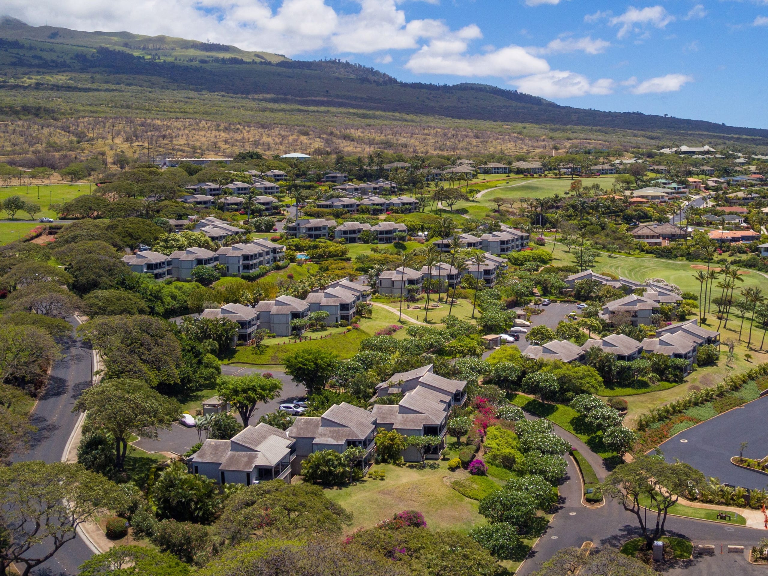 Condo in Kihei · ★4.93 · 2 bedrooms · 3 beds · 2 baths - Image 44