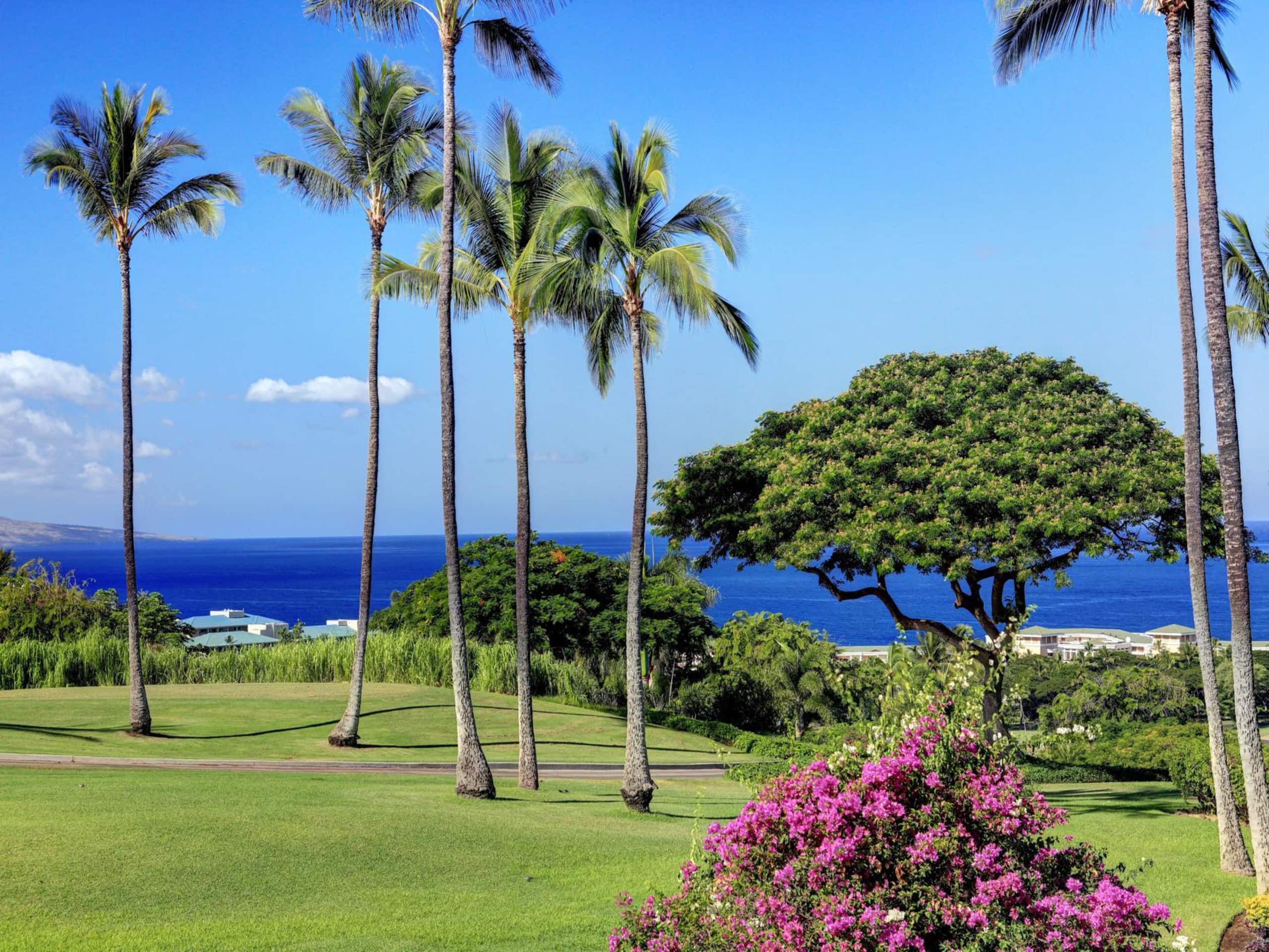 Condo in Kihei · ★5.0 · 1 bedroom · 2 beds · 2 baths - Image 1