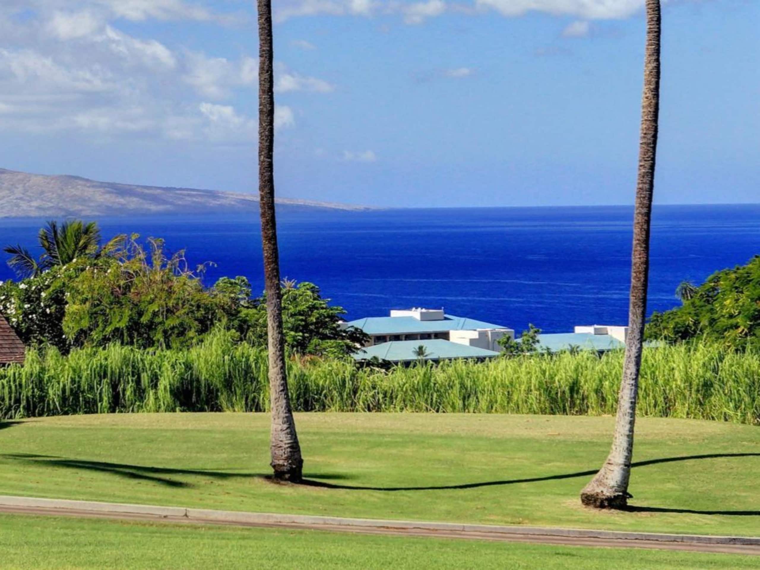 Condo in Kihei · ★5.0 · 1 bedroom · 2 beds · 2 baths - Image 7