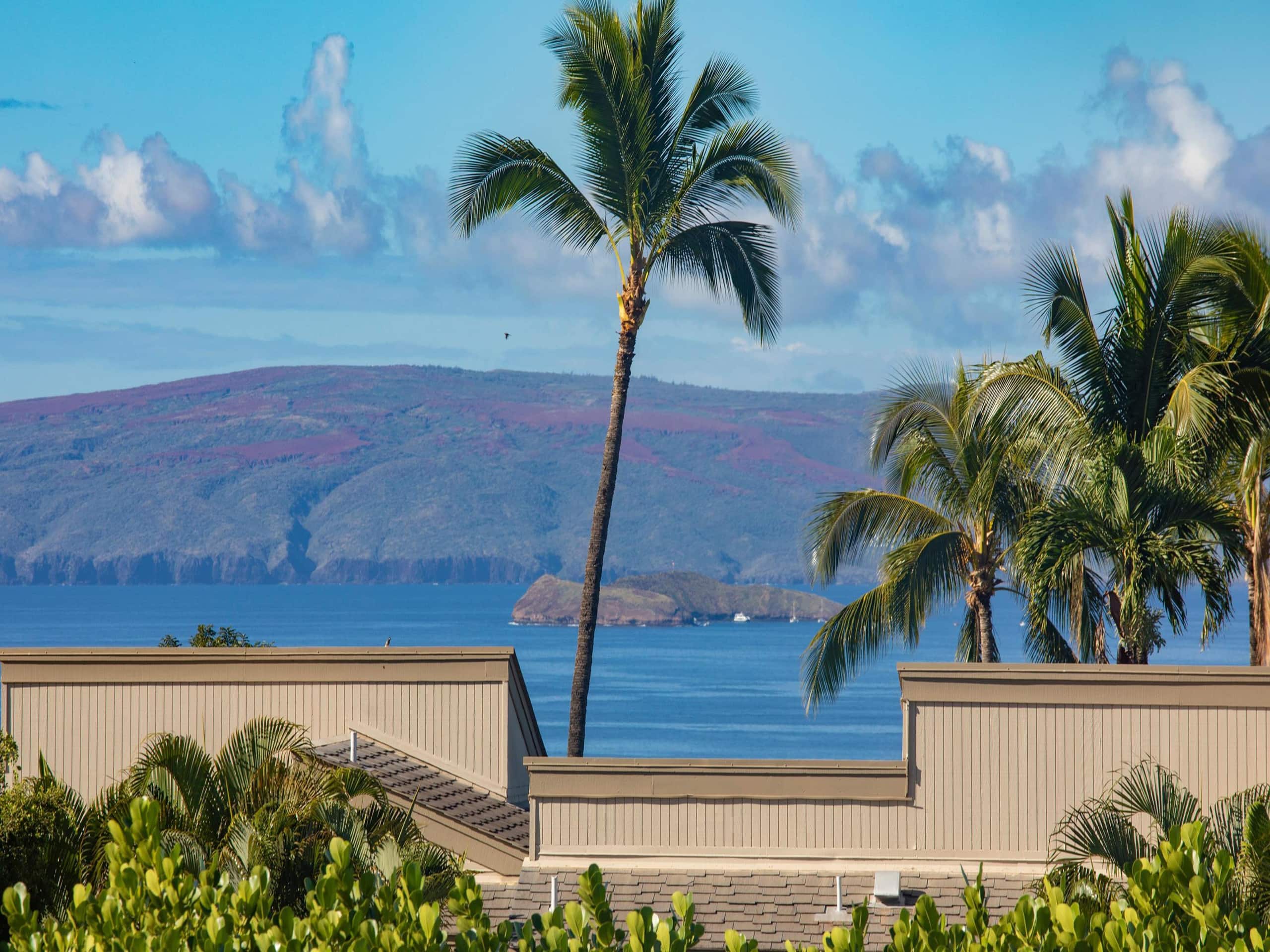 Condo in Kihei · ★4.75 · 1 bedroom · 2 beds · 2 baths - Image 2