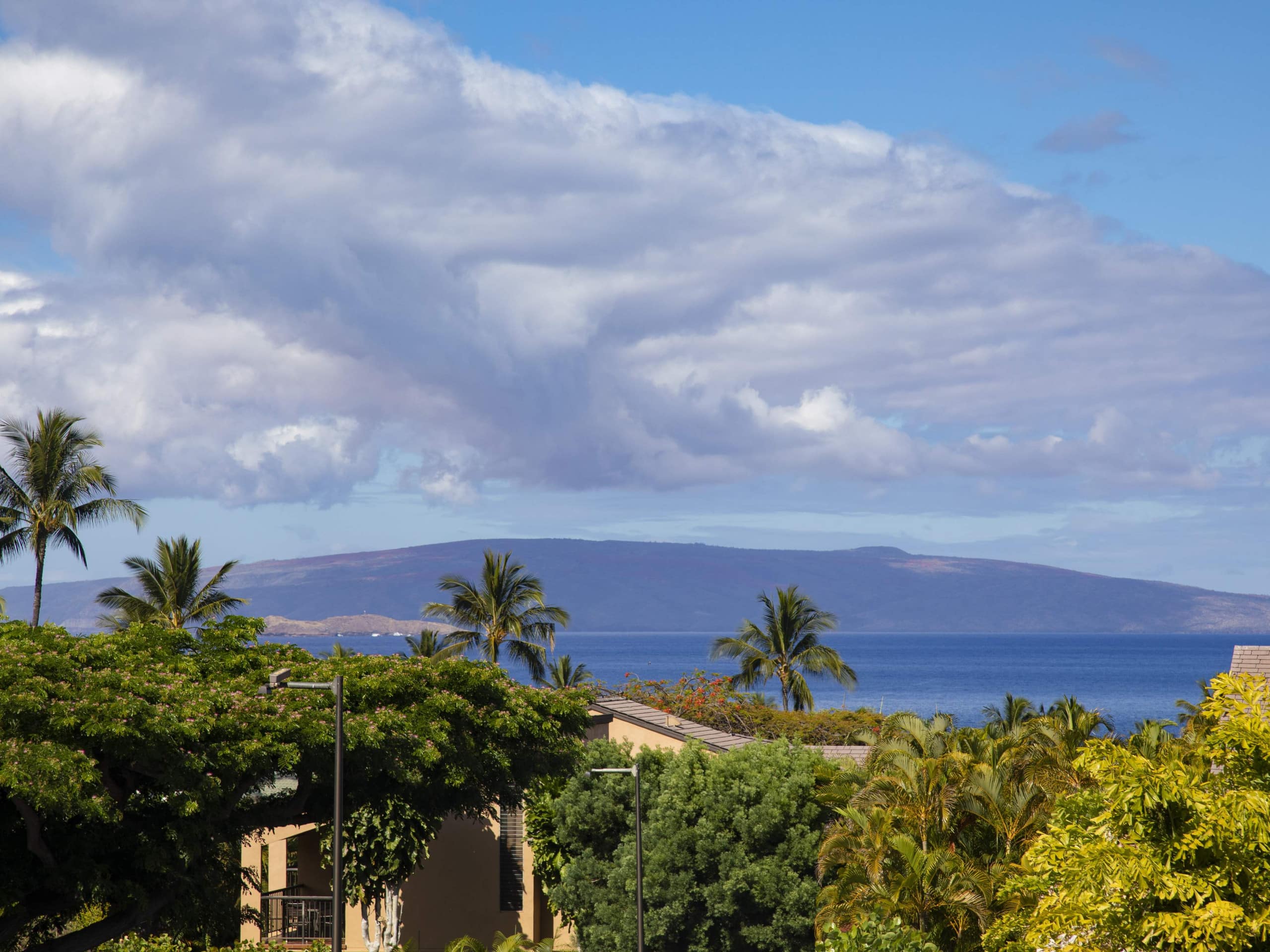 Condo in Kihei · ★4.67 · 1 bedroom · 2 beds · 2 baths - Image 2