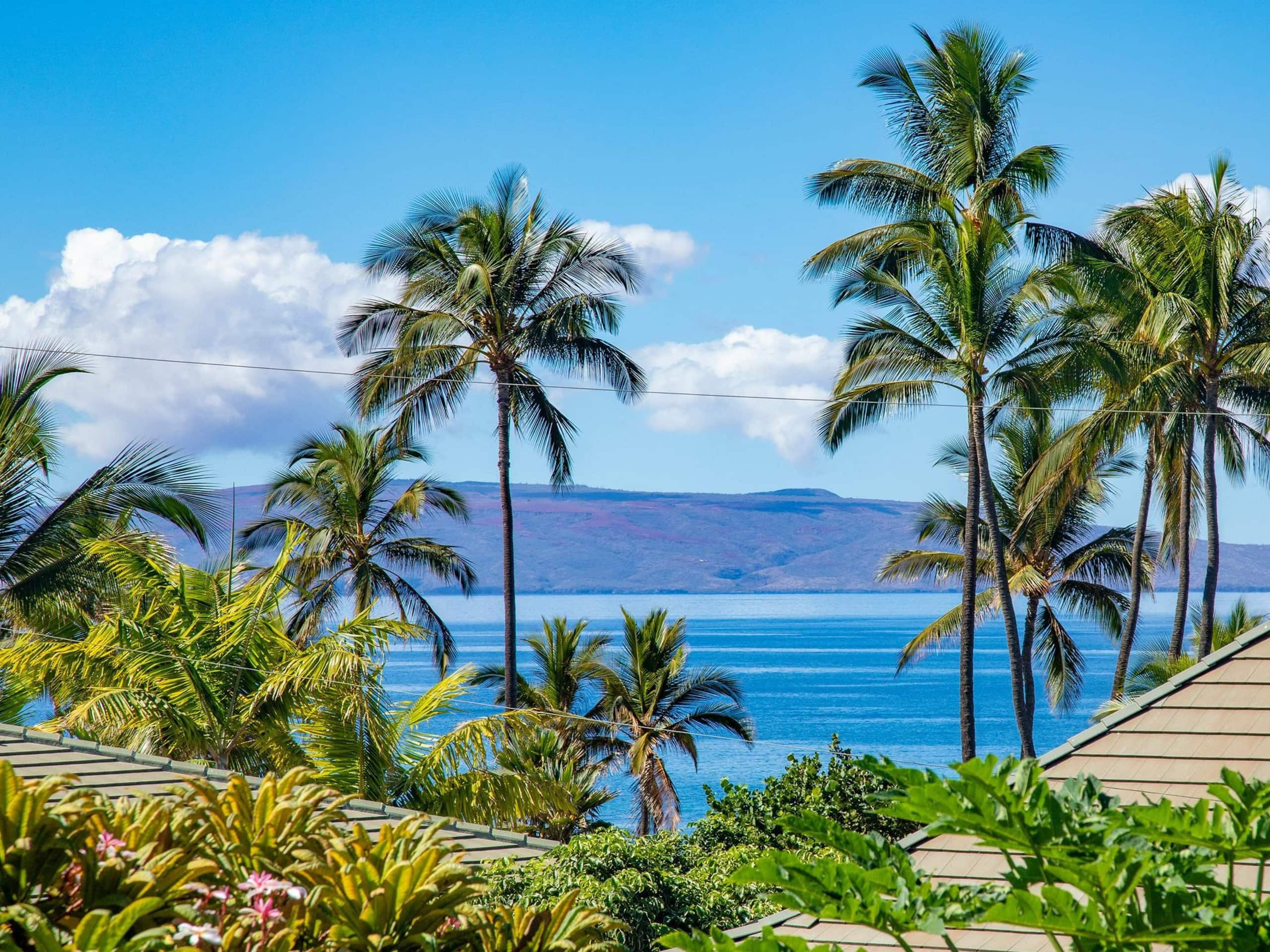 Condo in Kihei · ★4.6 · 2 bedrooms · 4 beds · 2 baths - Image 1