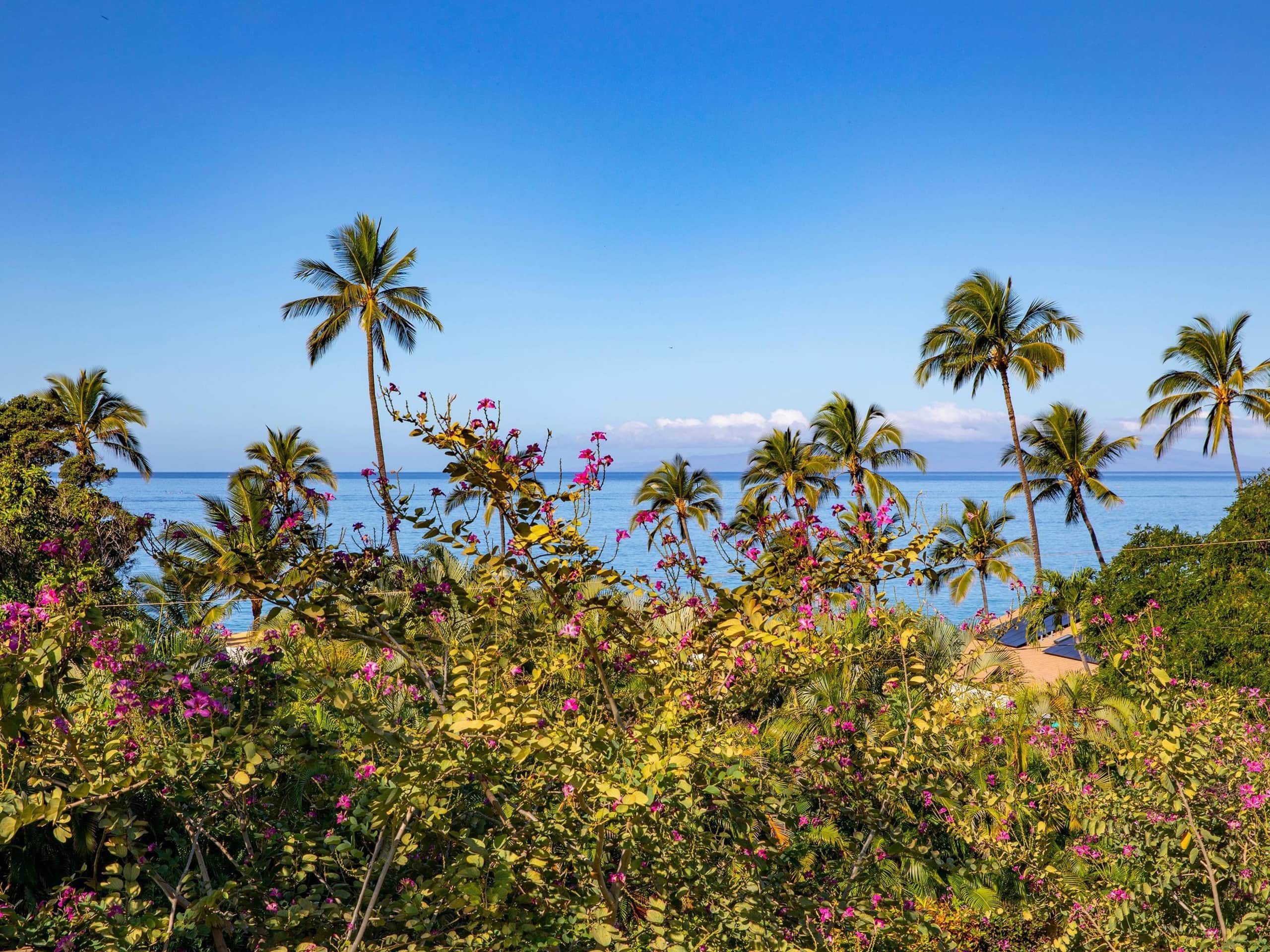 Condo in Kihei · ★5.0 · 2 bedrooms · 3 beds · 2 baths - Image 27