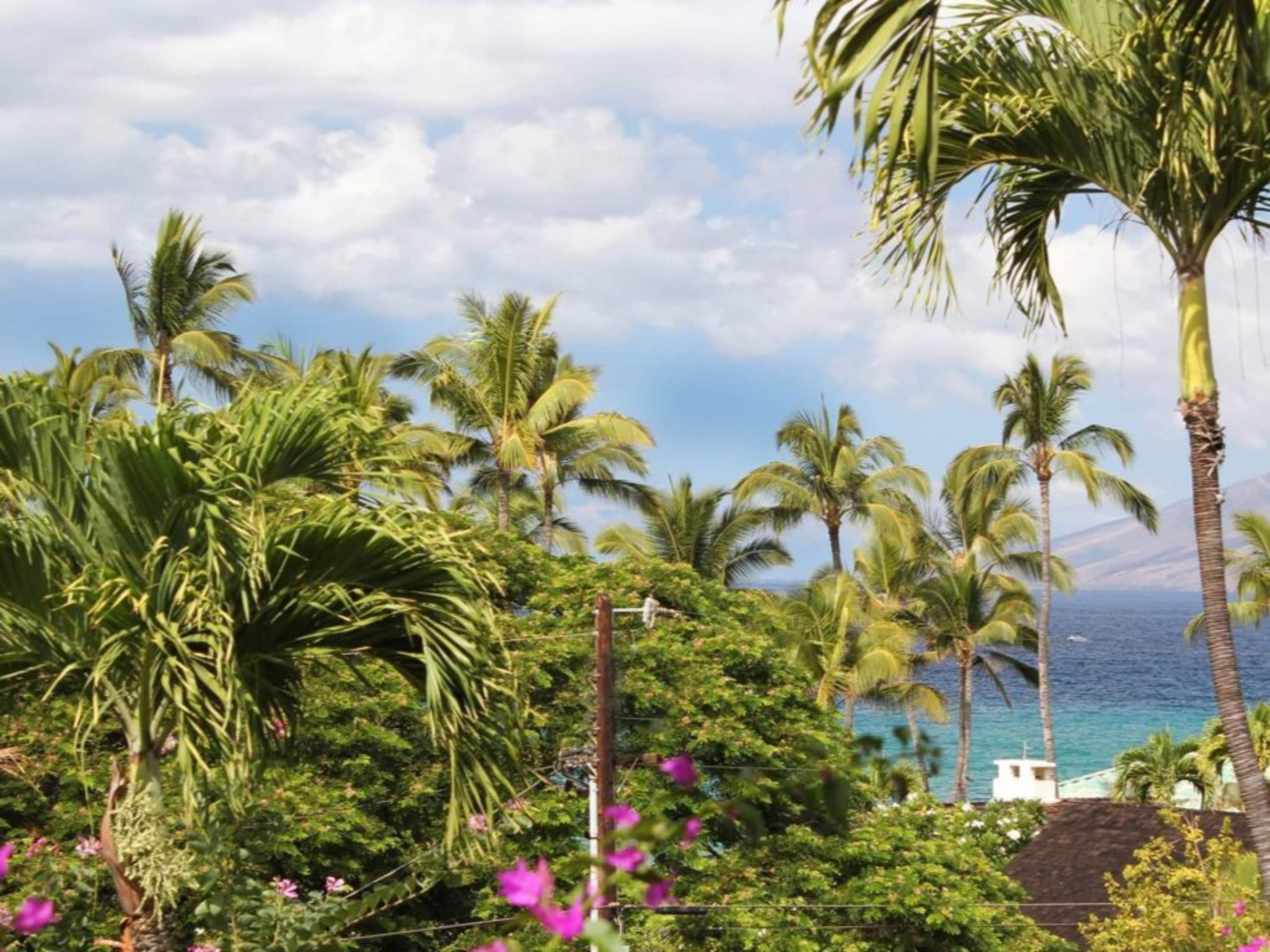 Condo in Kihei · ★5.0 · 2 bedrooms · 3 beds · 2 baths - Image 15