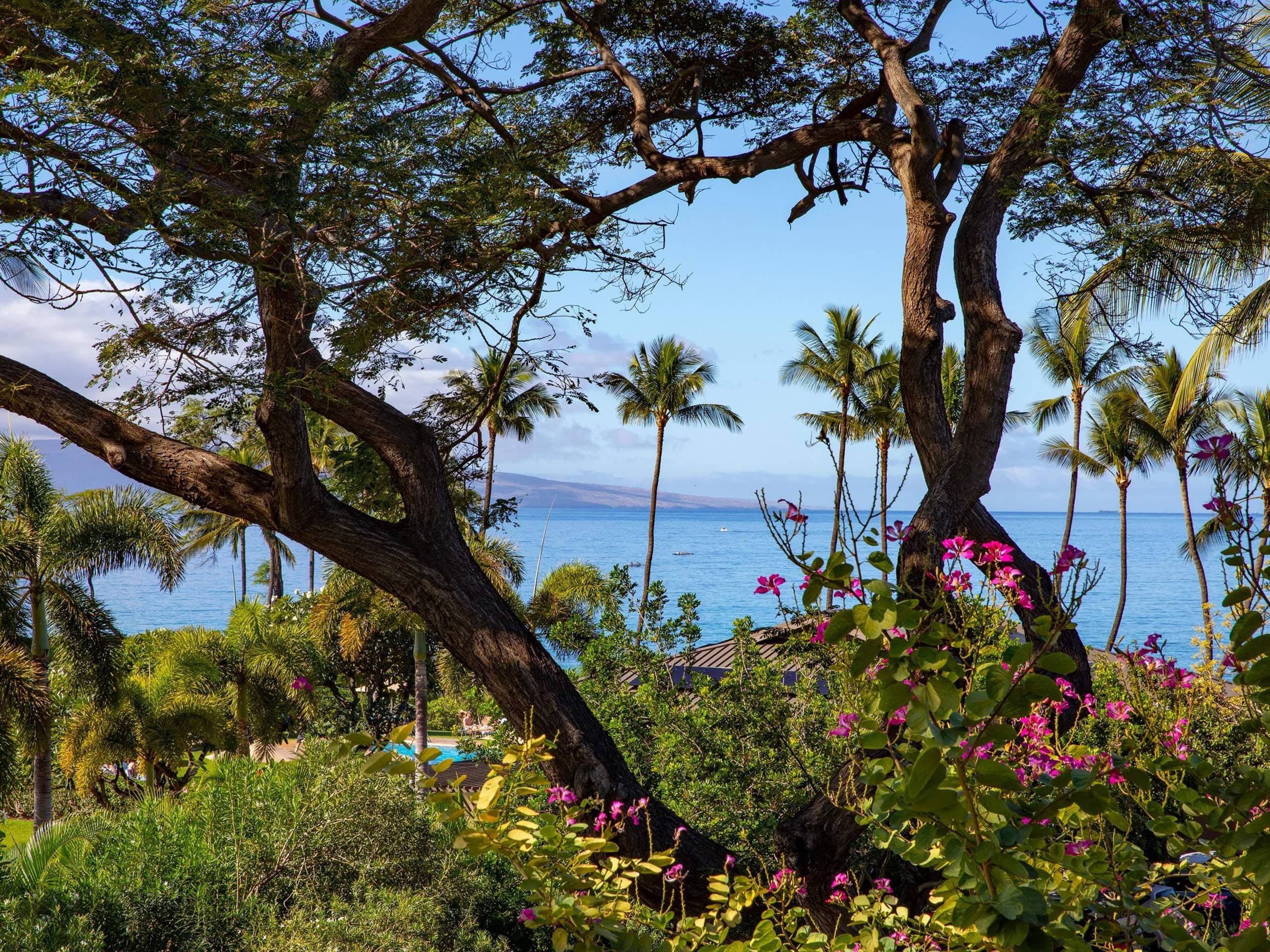 Condo in Kihei · ★5.0 · 2 bedrooms · 3 beds · 2 baths - Image 18