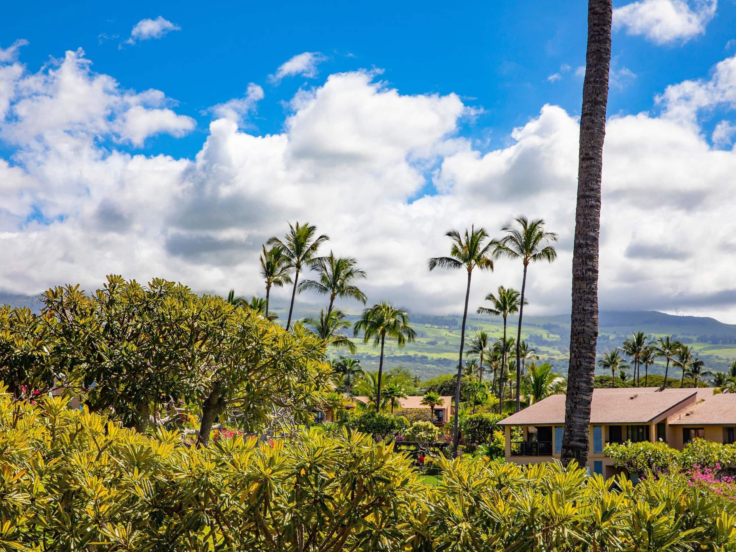 Condo in Kihei · ★5.0 · 2 bedrooms · 3 beds · 2 baths - Image 16