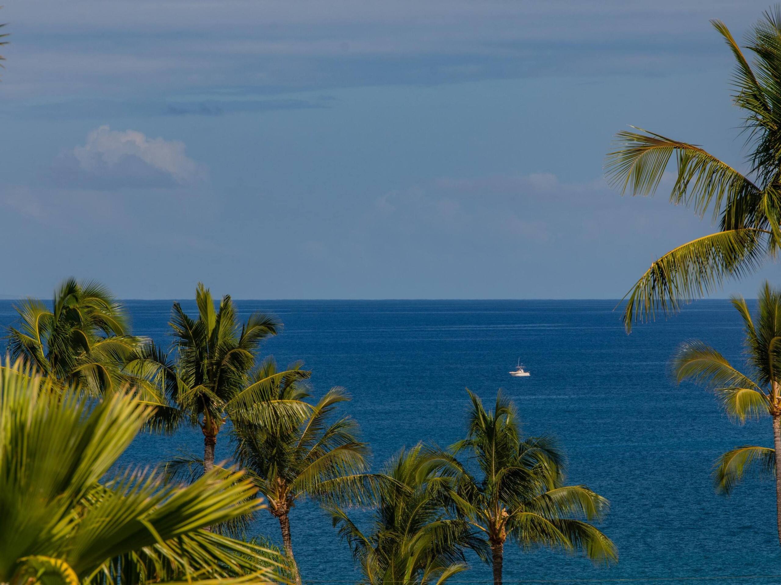 Condo in Kihei · ★4.83 · 1 bedroom · 2 beds · 1 bath - Image 13