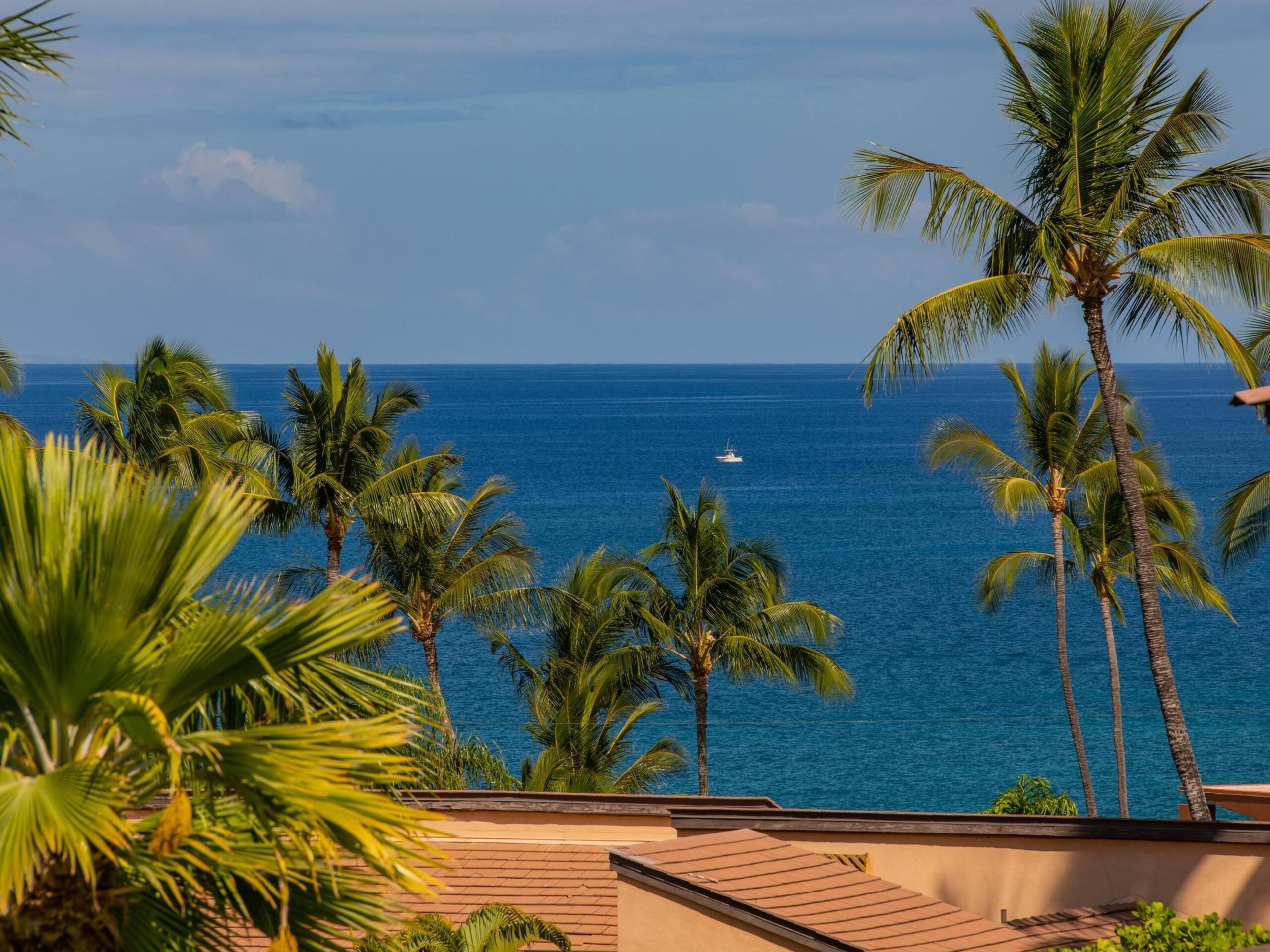 Condo in Kihei · ★4.83 · 1 bedroom · 2 beds · 1 bath - Image 11