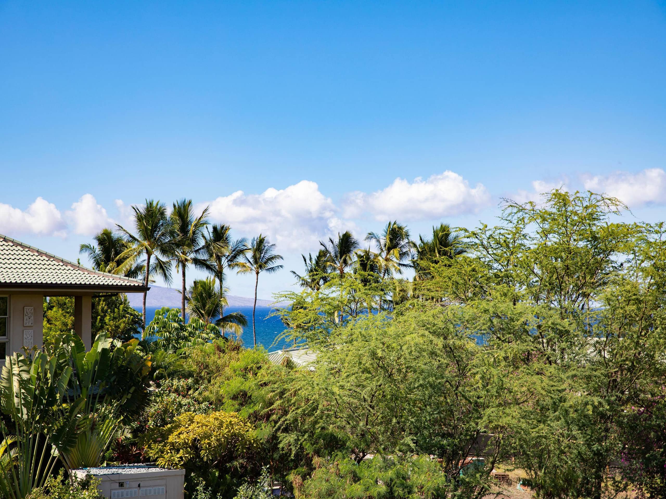 Condo in Kihei · ★5.0 · Studio · 1 bed · 1 bath - Image 11