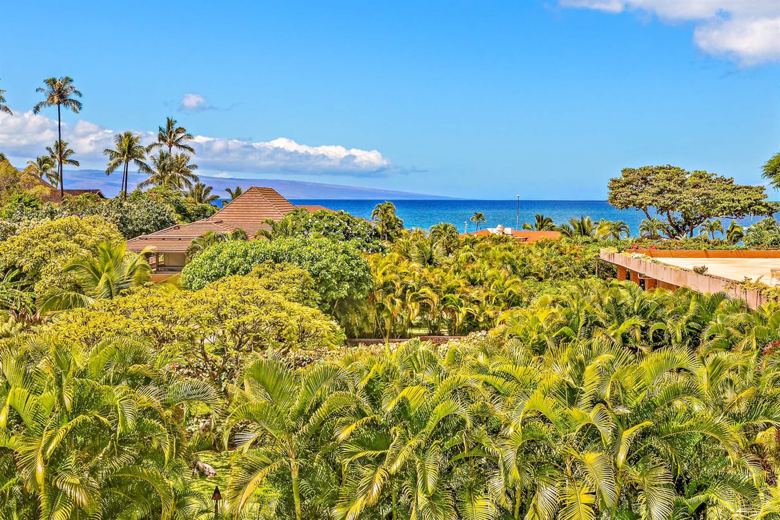Condo in Lahaina · ★5.0 · Studio · 2 beds · 1 private bath - Image 25