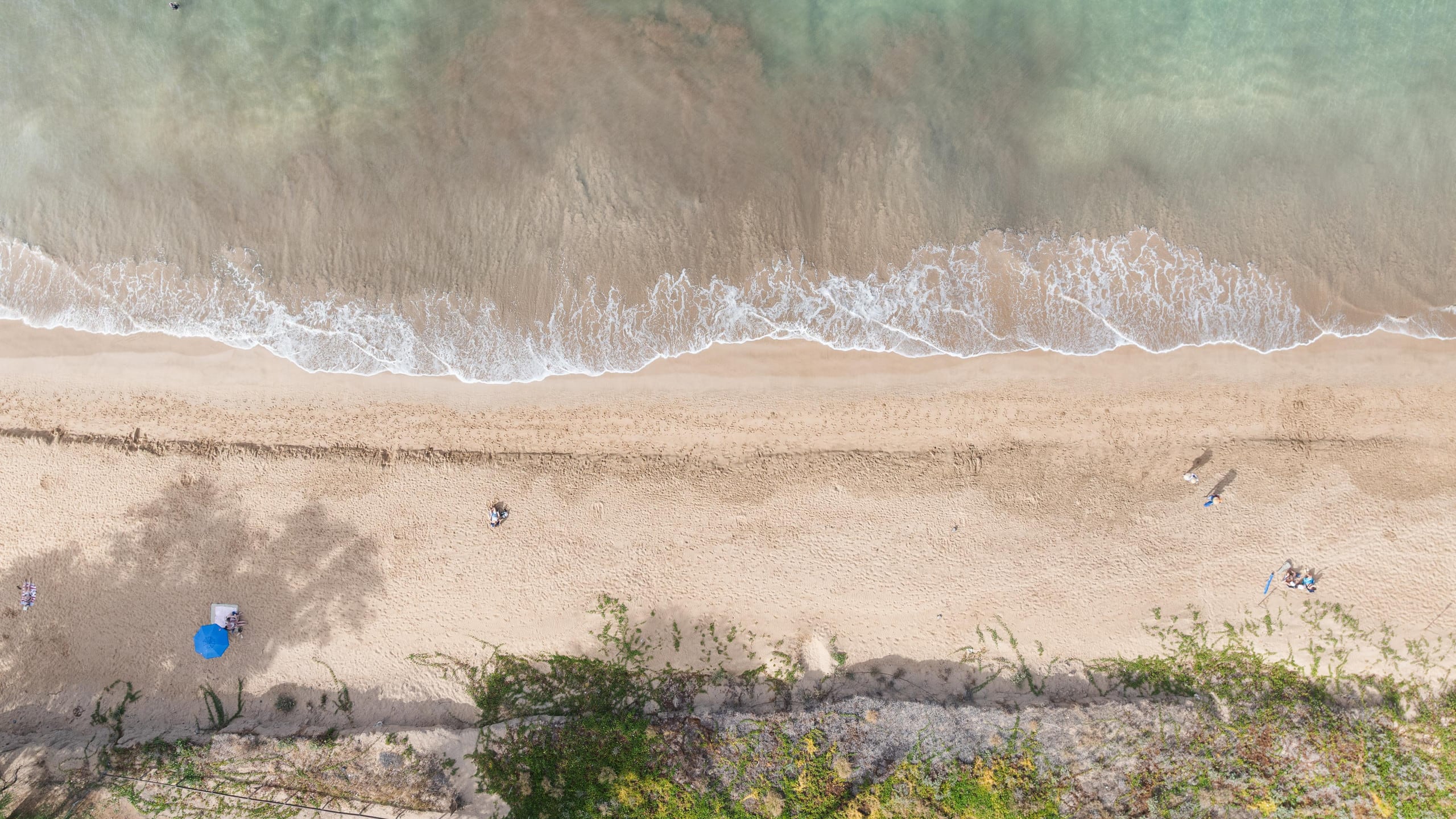 New | Intro Pricing | Steps to Beach | KBC C109 - Image 60