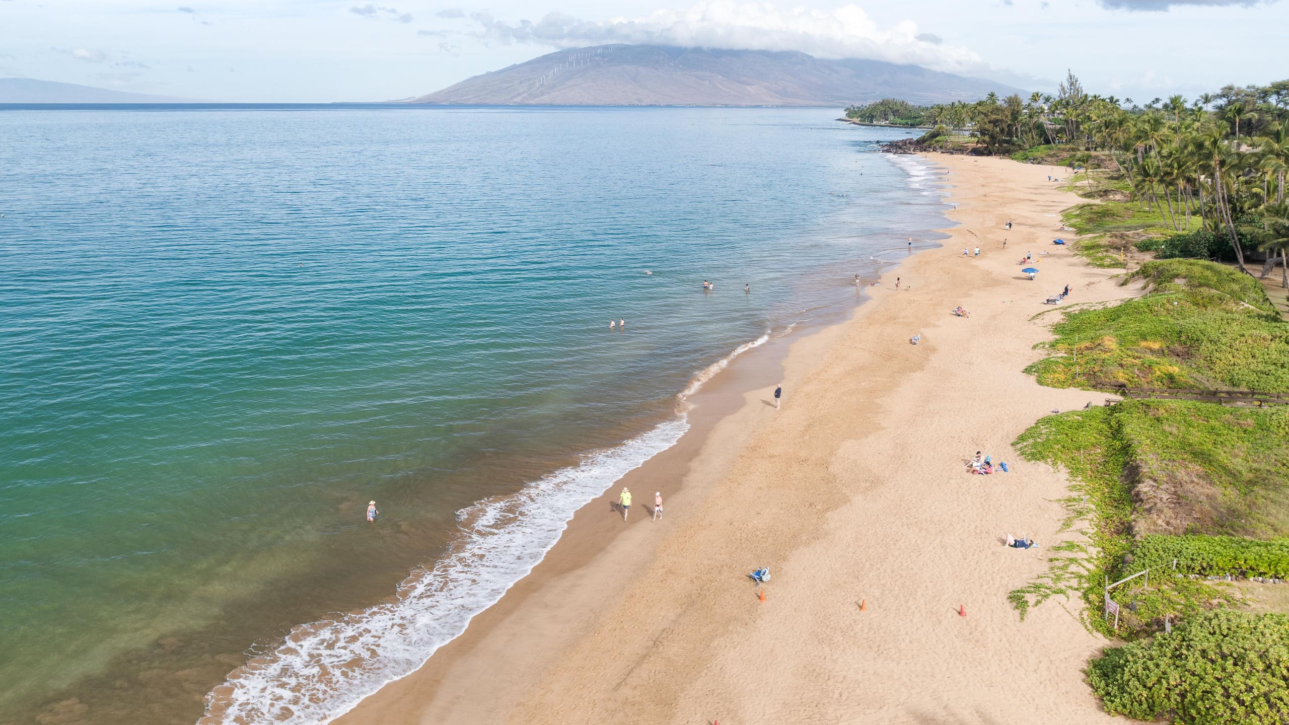 New | Intro Pricing | Steps to Beach | KBC C109 - Image 29