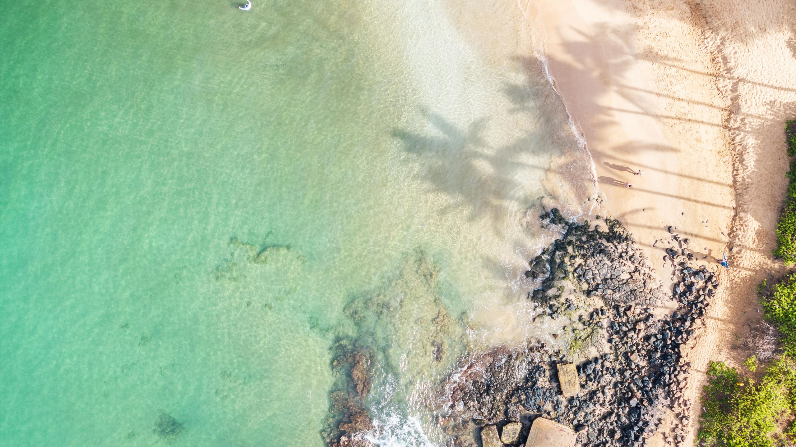 New | Intro Pricing | Steps to Beach | KBC C109 - Image 62