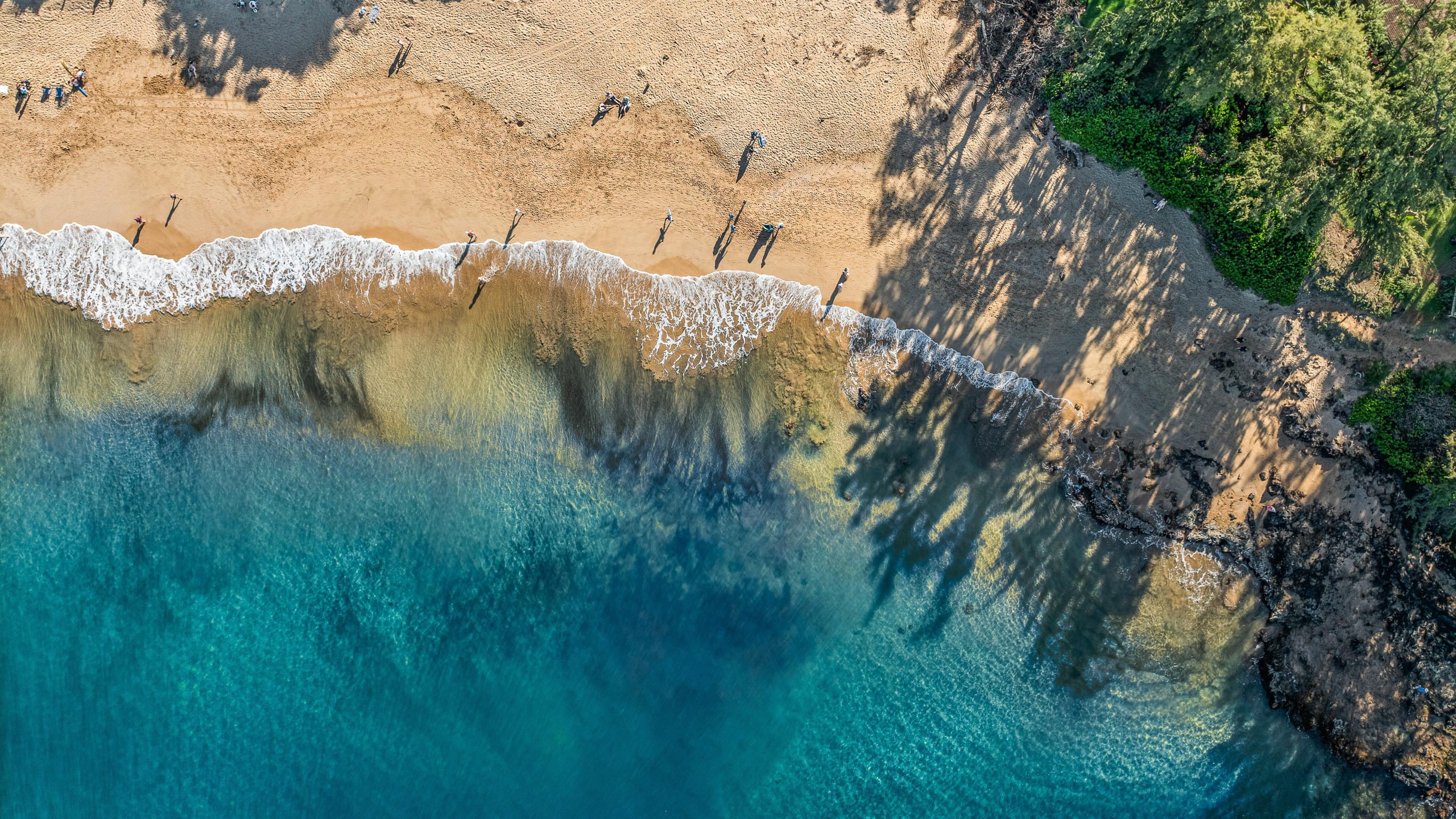 New | Intro Pricing | Steps to Beach | KBC C109 - Image 71