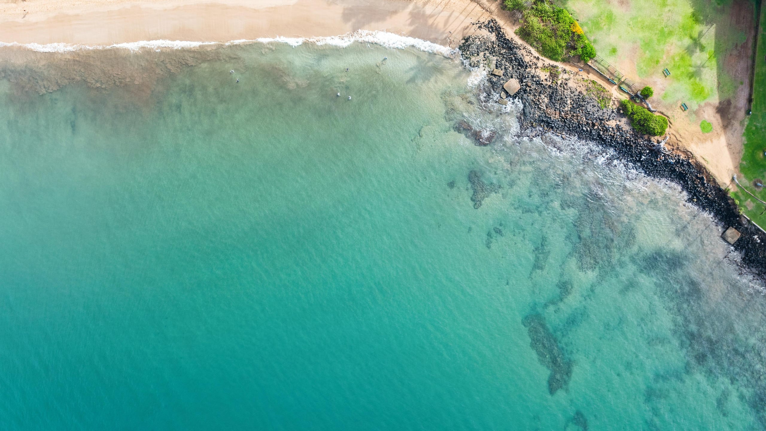 New | Intro Pricing | Steps to Beach | KBC C109 - Image 63