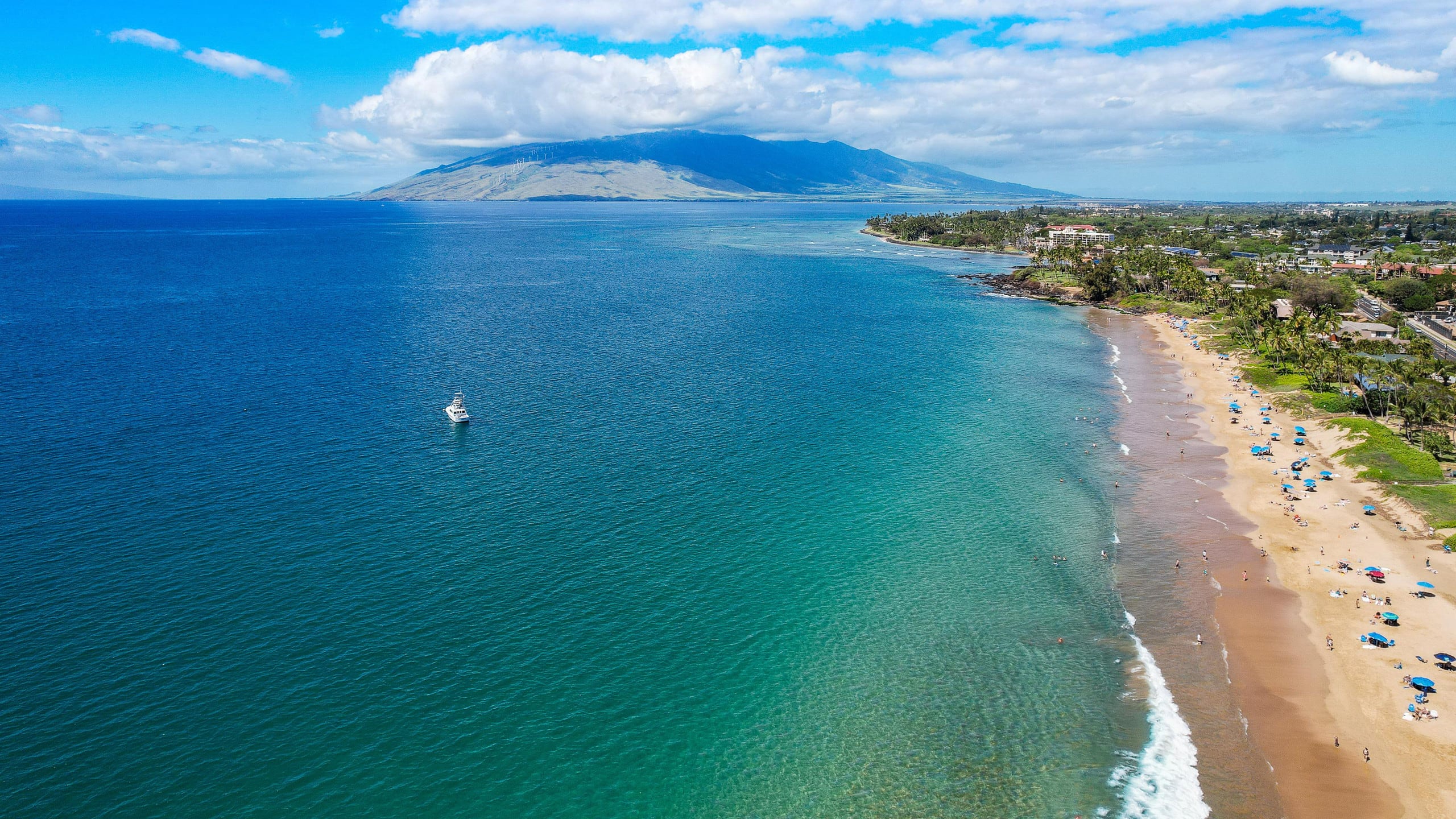 New | Intro Pricing | Steps to Beach | KBC C109 - Image 69
