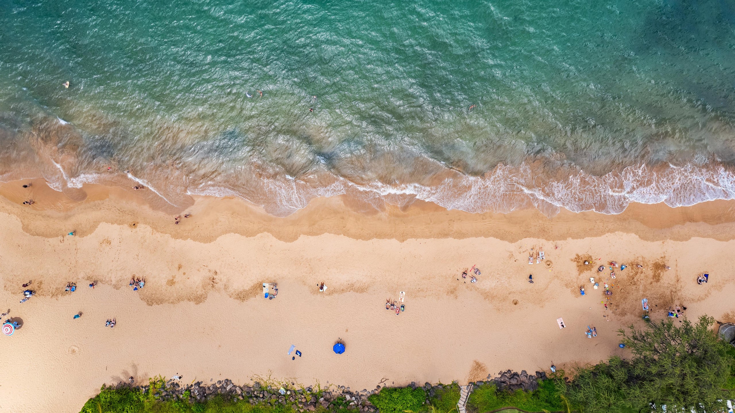 New | Intro Pricing | Steps to Beach | KBC C109 - Image 64