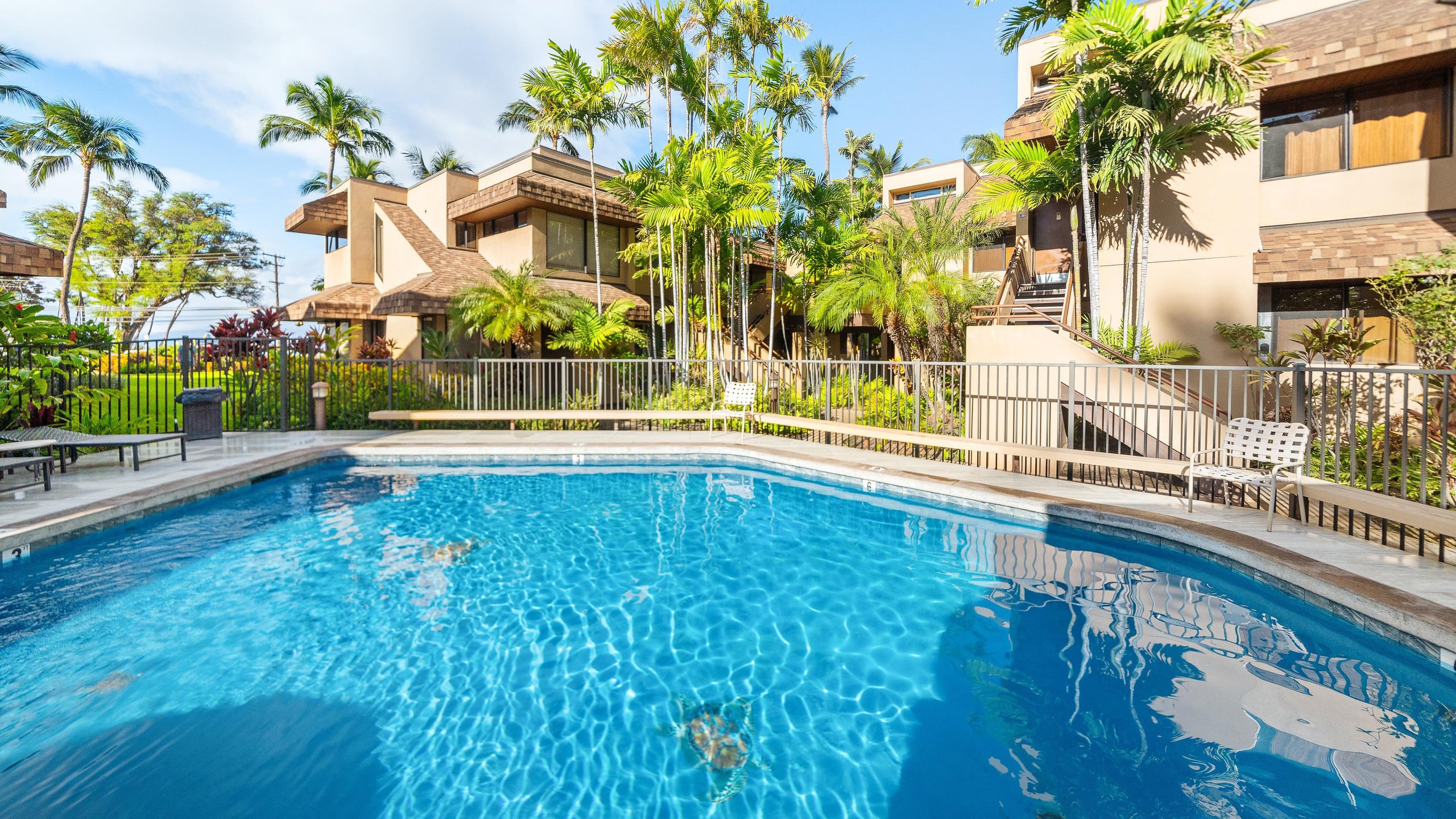 New | Intro Pricing | Steps to Beach | KBC C109 - Image 6