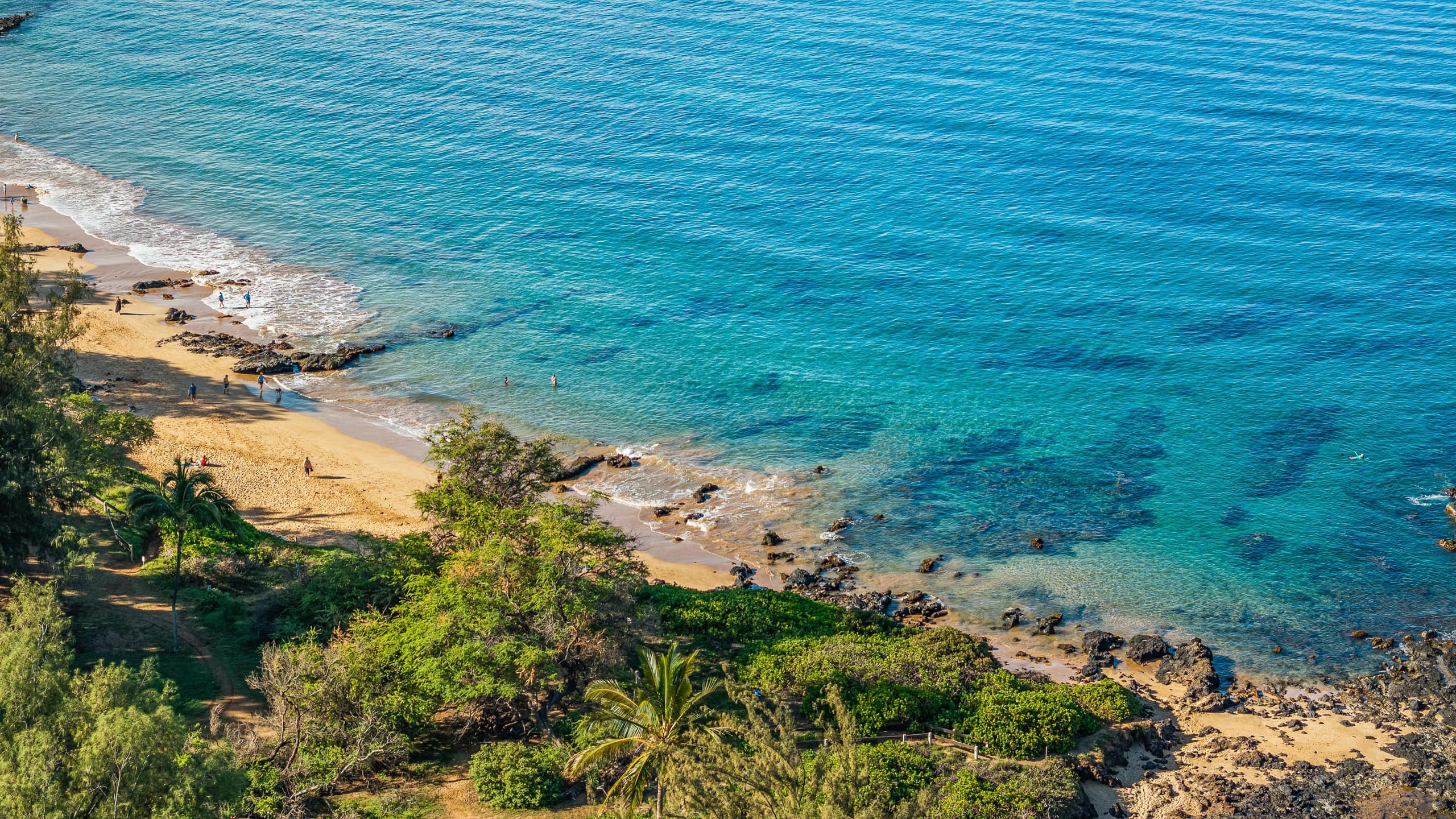 New | Intro Pricing | Steps to Beach | KBC C109 - Image 75