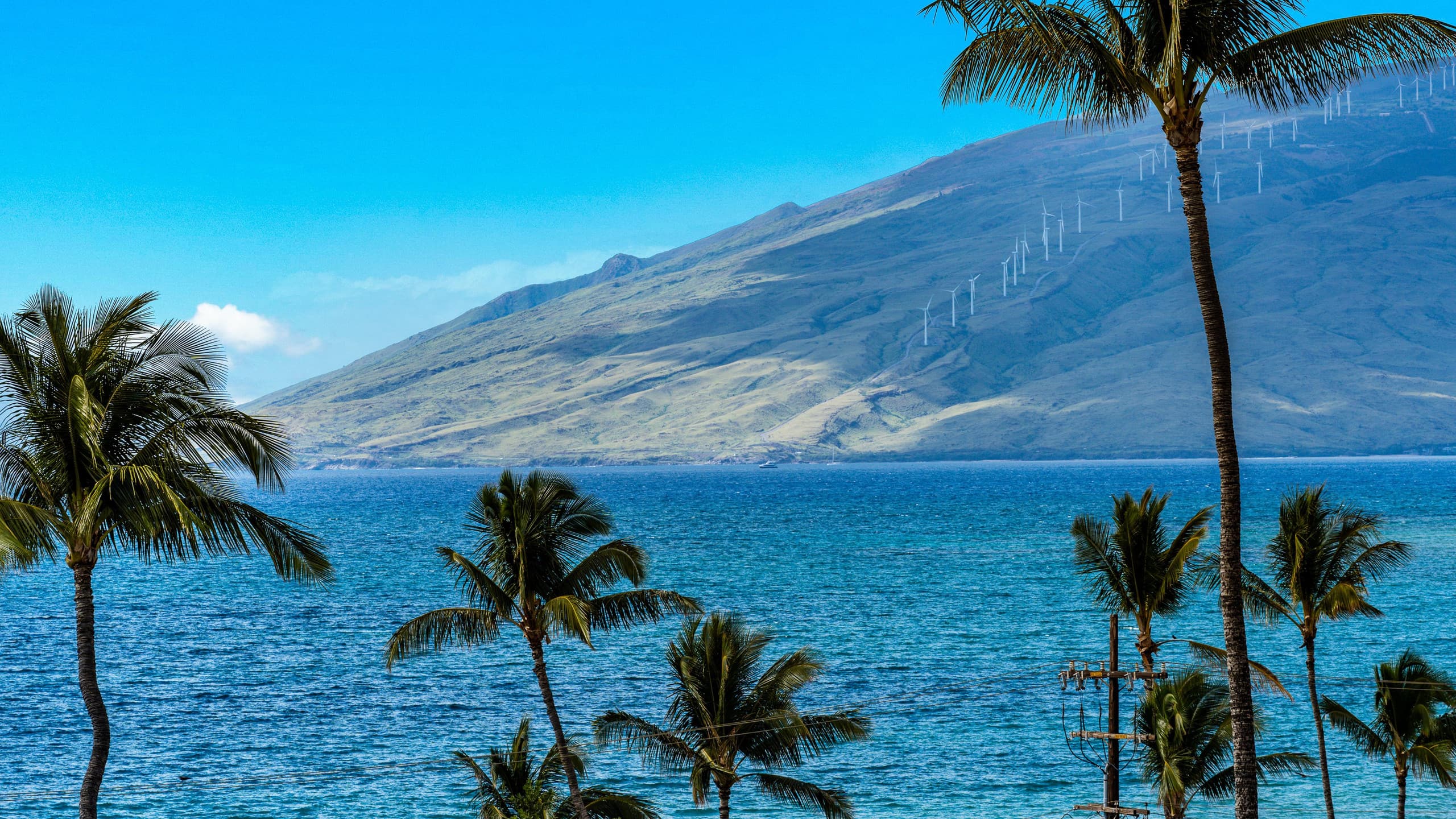 New | Intro Pricing | Steps to Beach | KBC C109 - Image 72