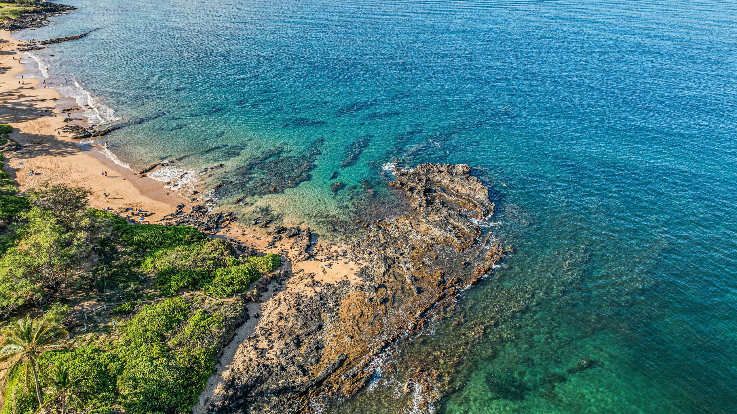 New | Intro Pricing | Steps to Beach | KBC C109 - Image 78