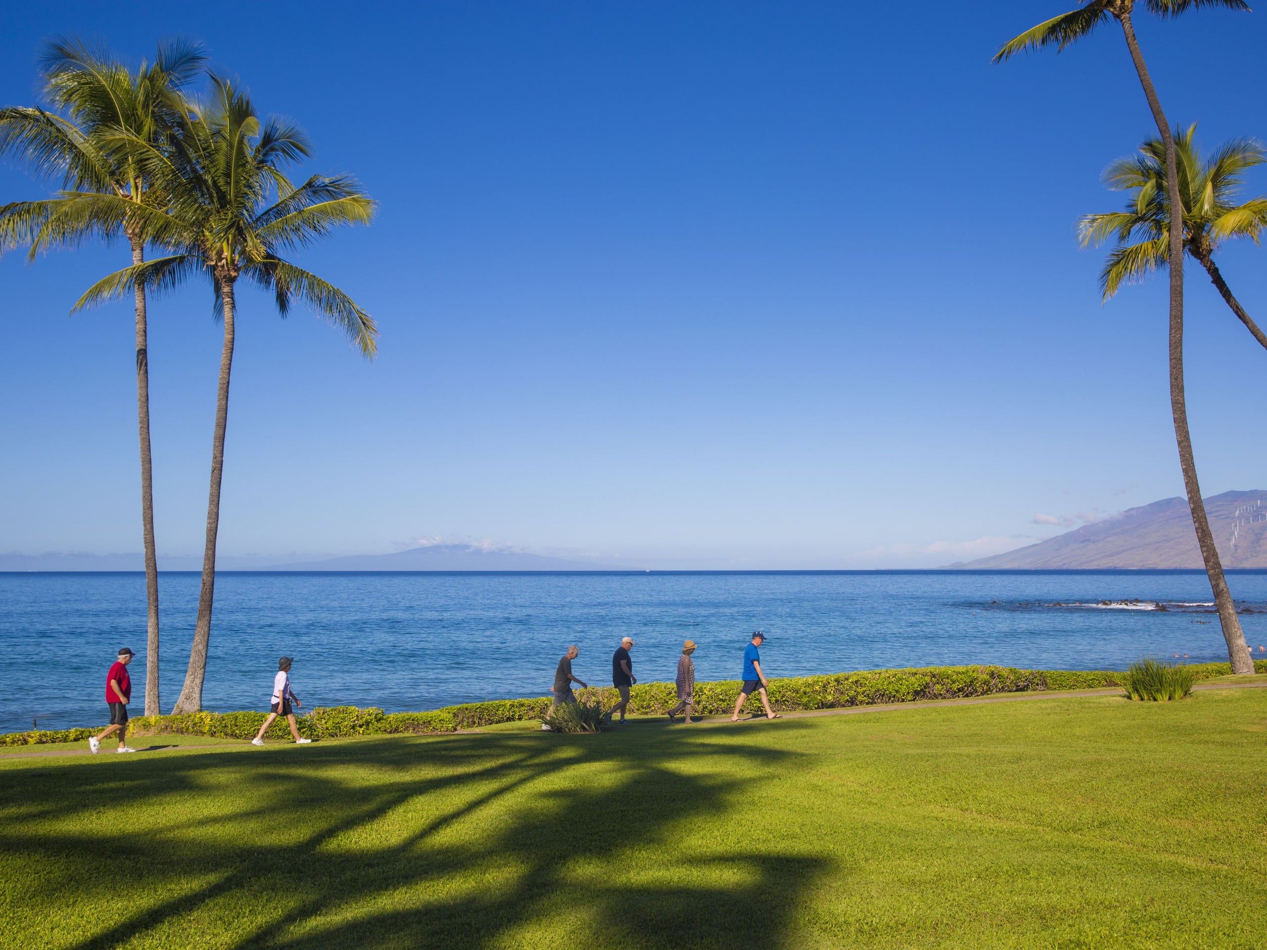 Condo in Wailea · ★5.0 · 2 bedrooms · 3 beds · 2 baths - Image 28