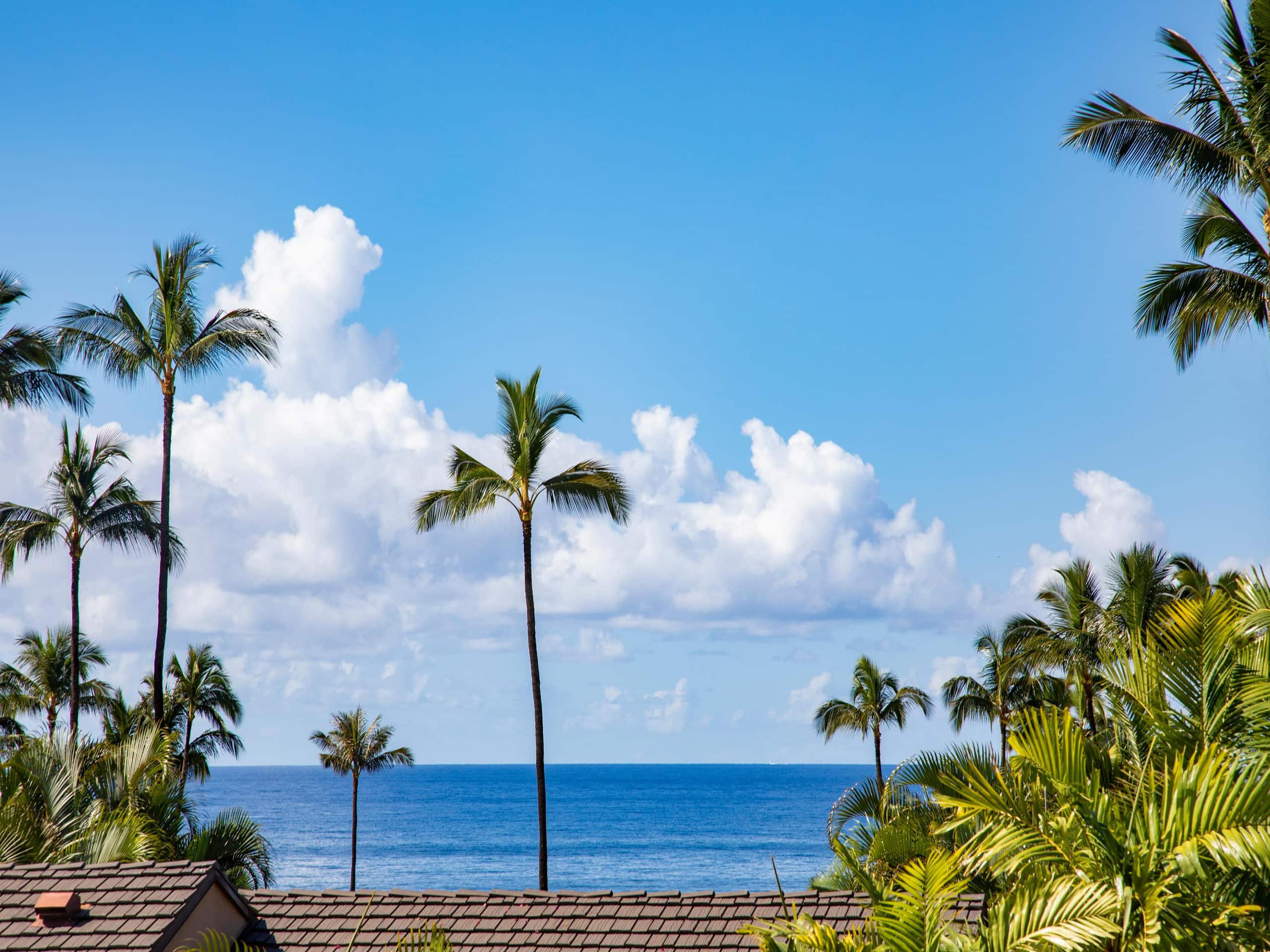 Condo in Wailea · ★5.0 · 2 bedrooms · 3 beds · 2 baths - Image 2