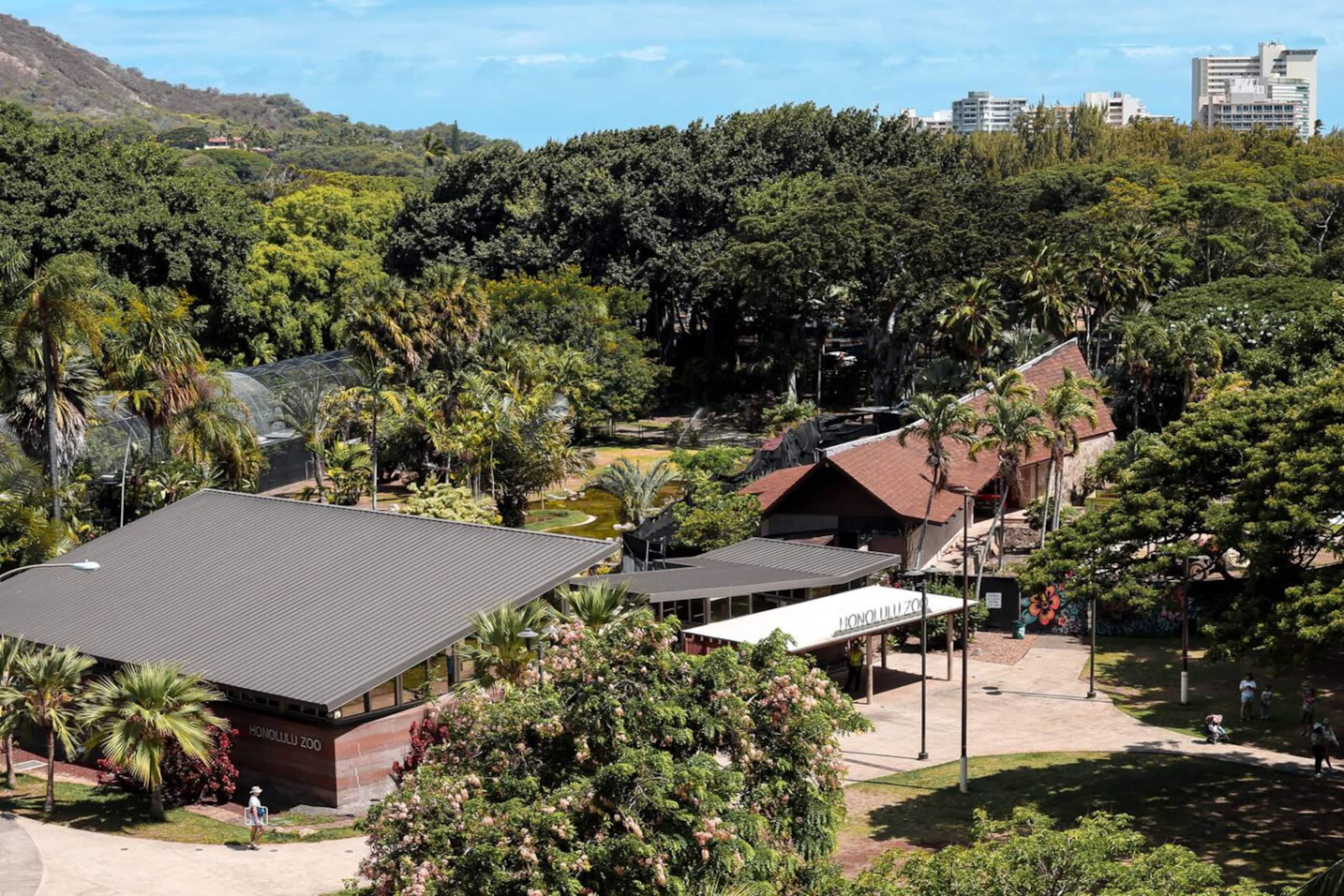 Modern Ocean Bungalow Steps To Waikiki Beach - Image 7